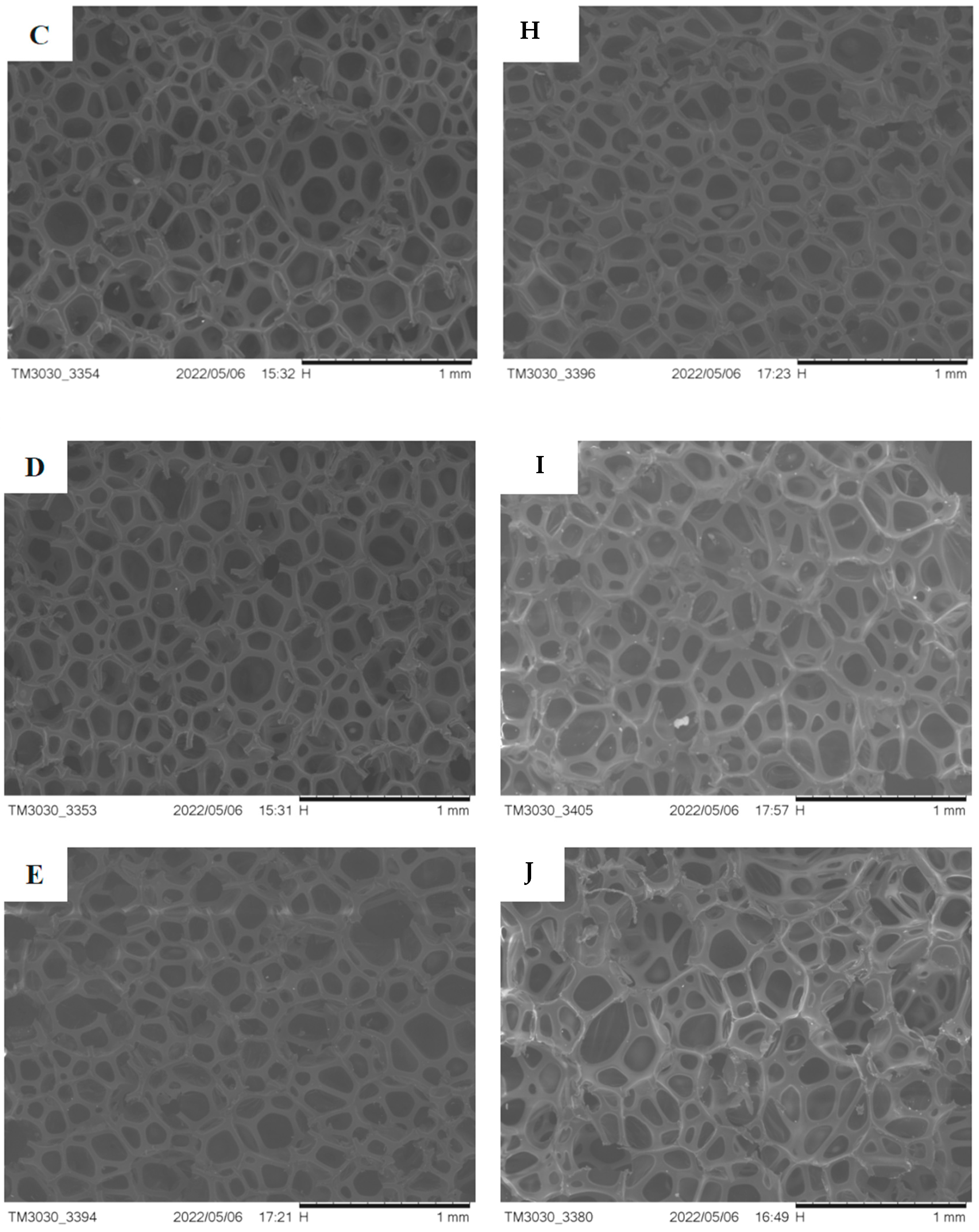 Polymers 14 05450 g014b