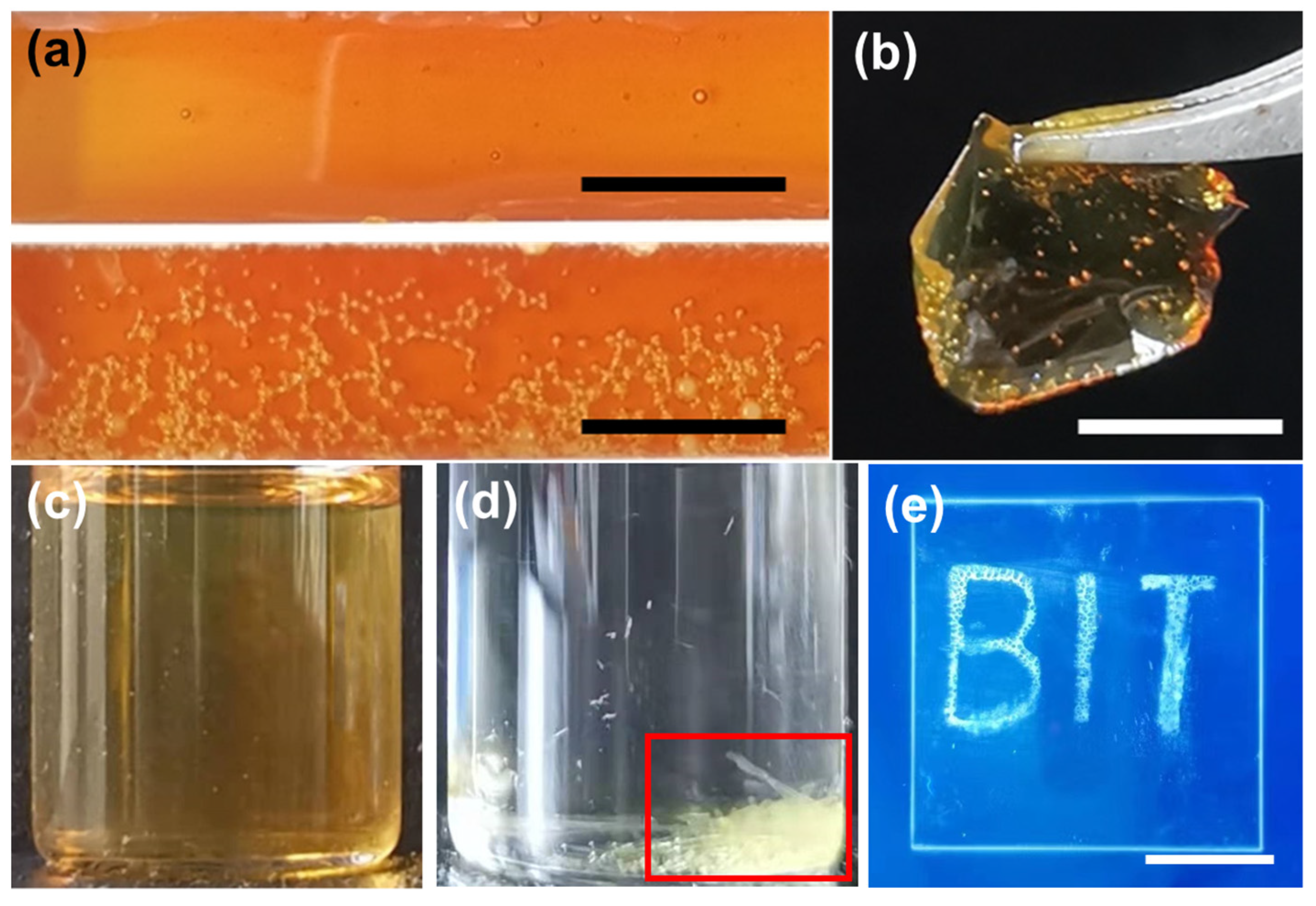 Polymers 14 05451 g001 Polymers 14 05451 g001
