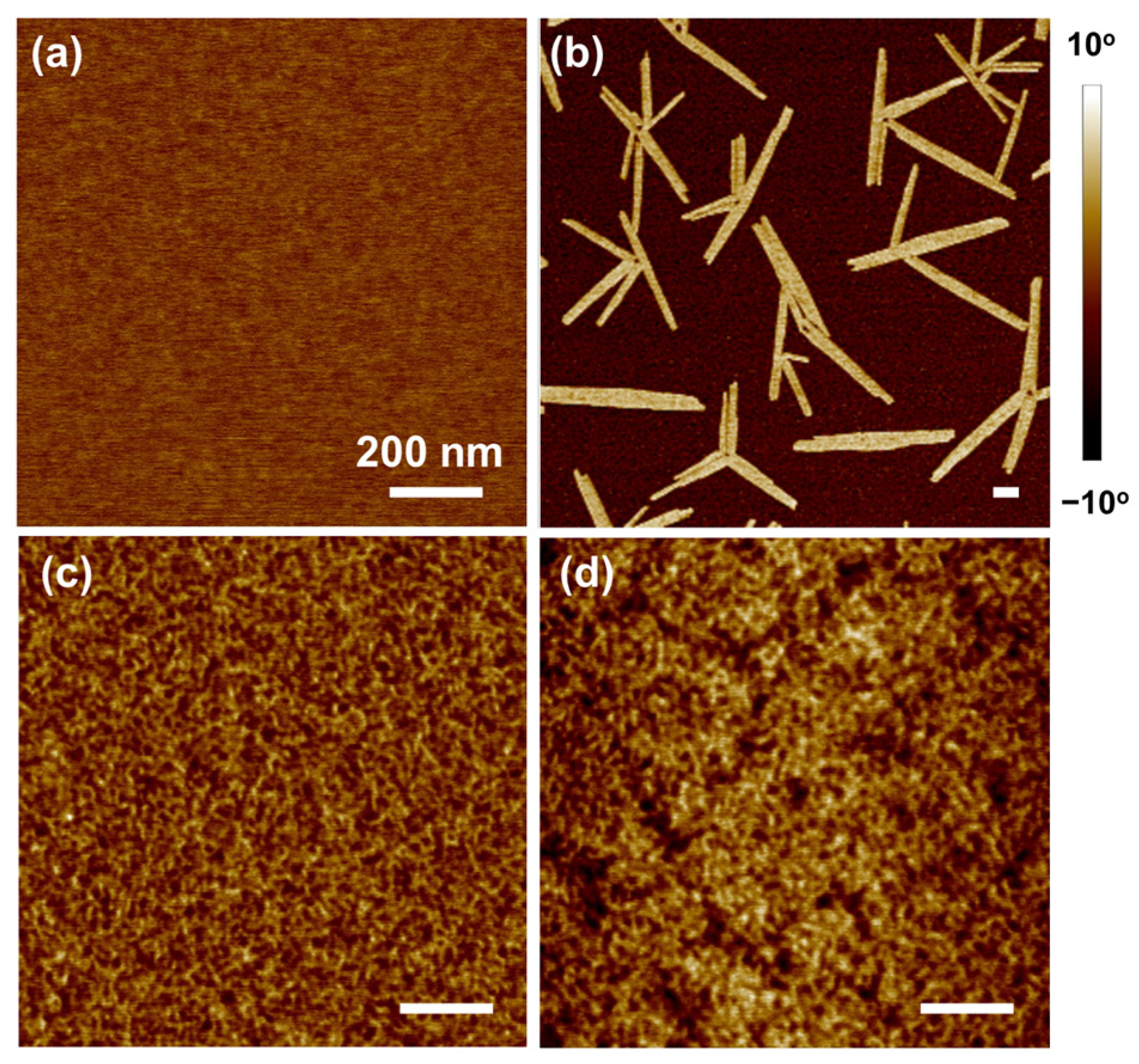 Polymers 14 05451 g005 Polymers 14 05451 g005