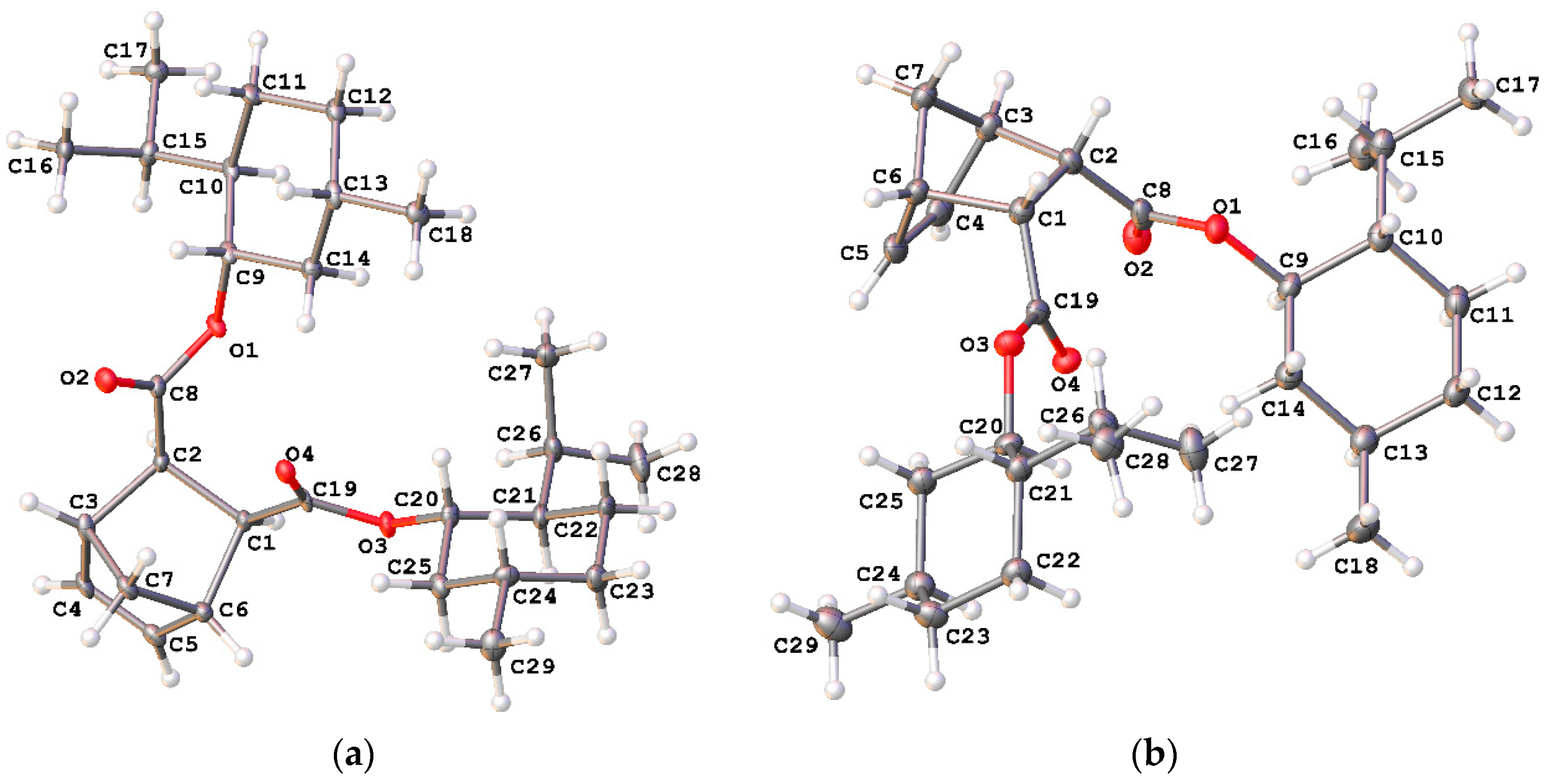 Polymers 14 05453 g002 Polymers 14 05453 g002