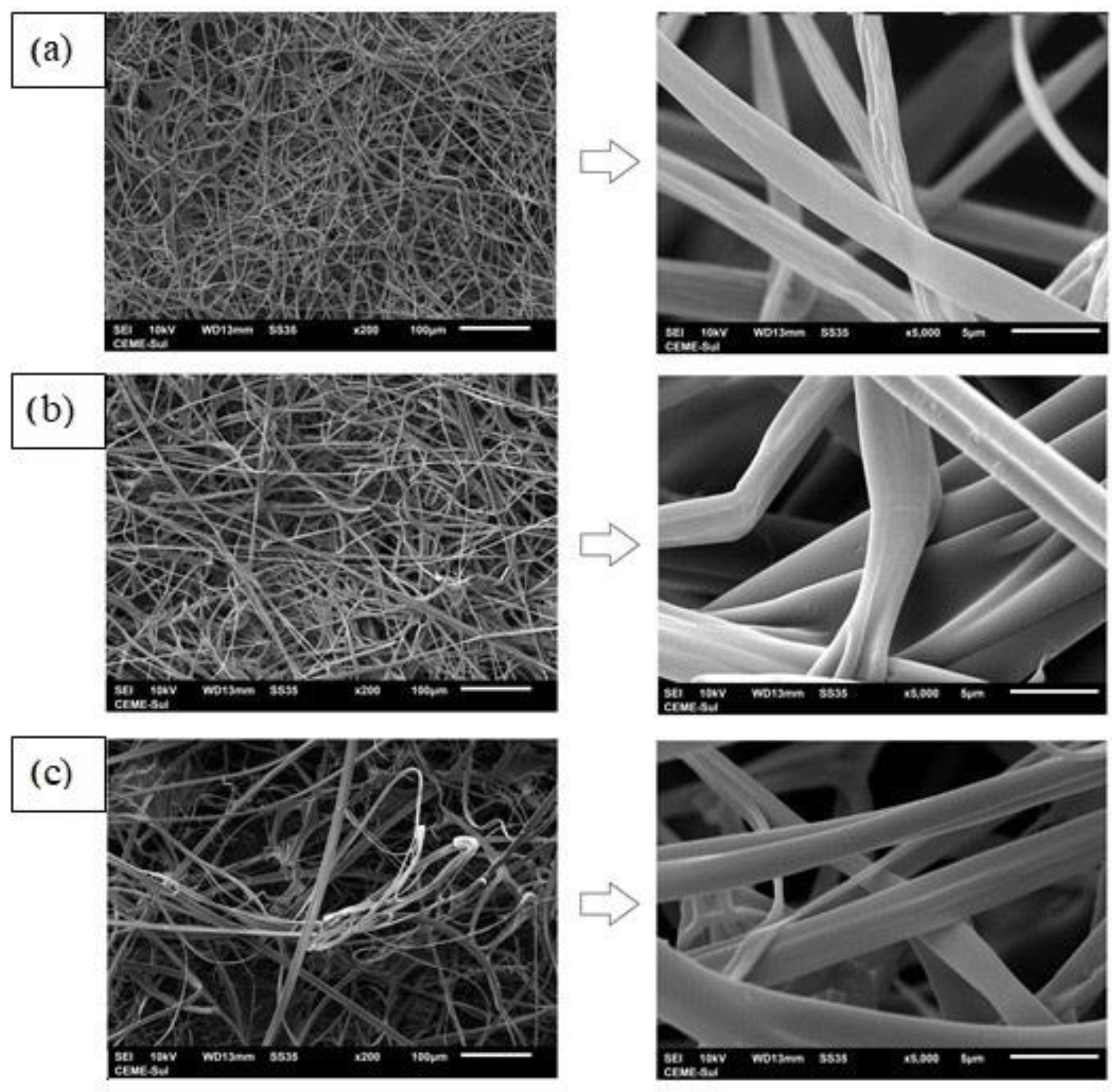 Polymers 14 05457 g003 Polymers 14 05457 g003