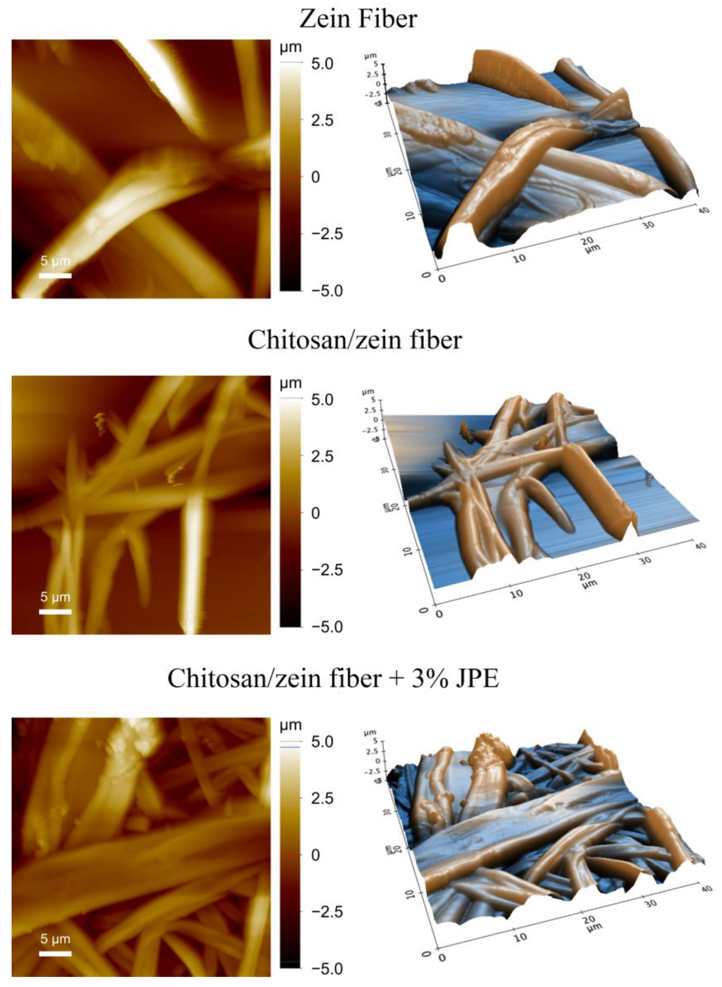 Polymers 14 05457 g004 Polymers 14 05457 g004