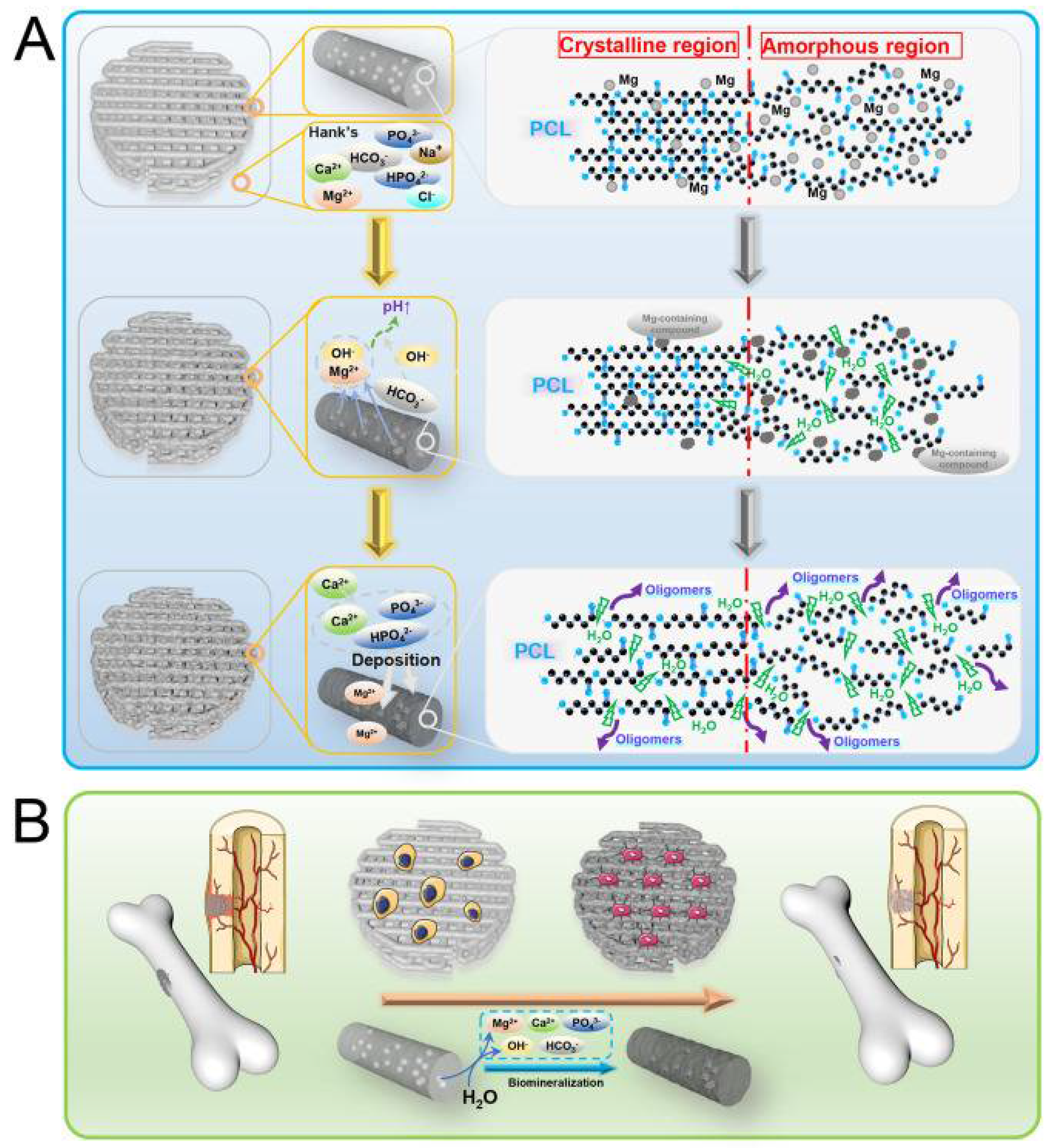 Polymers 14 05460 g003 Polymers 14 05460 g003