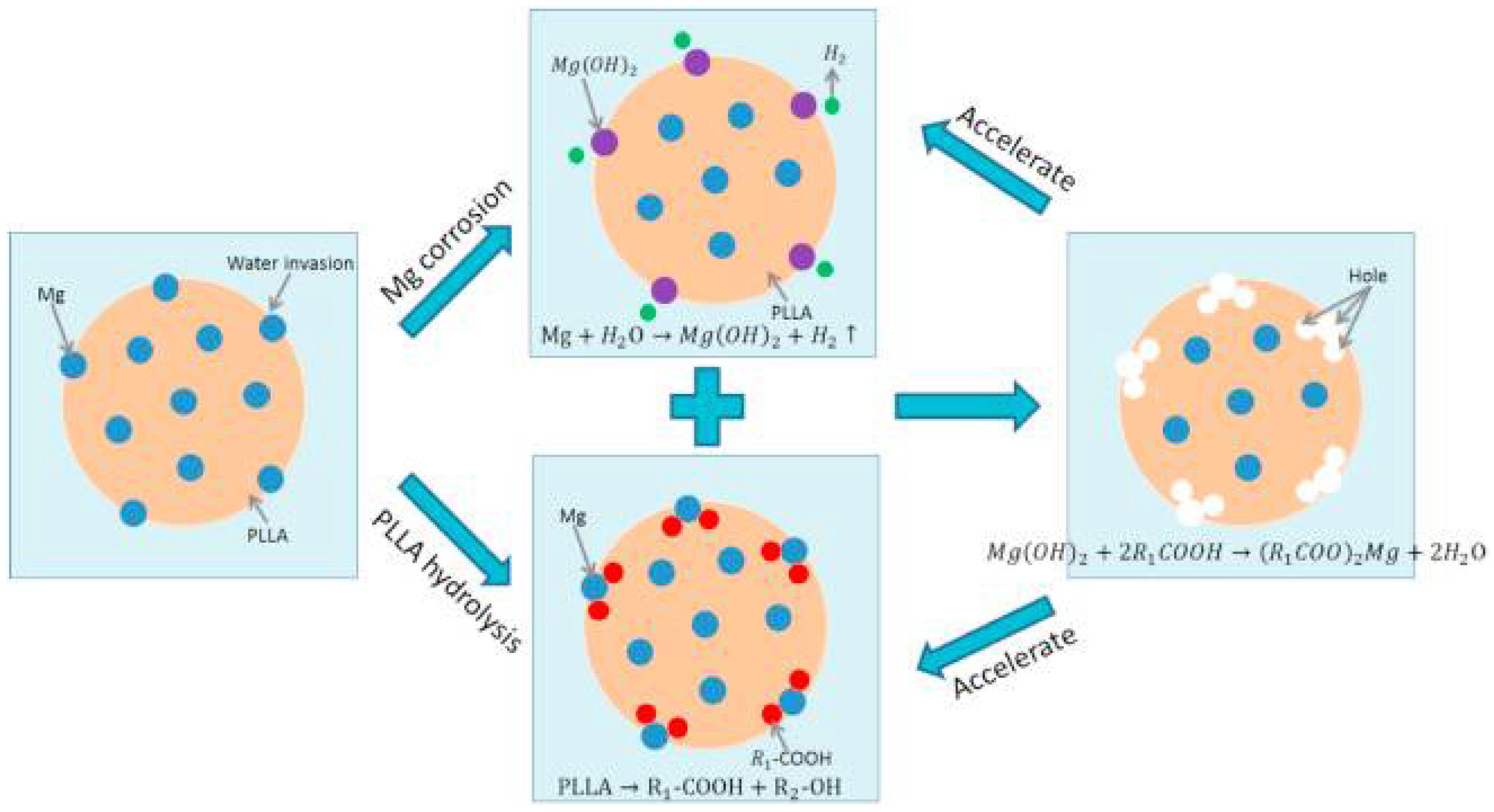 Polymers 14 05460 g004 Polymers 14 05460 g004