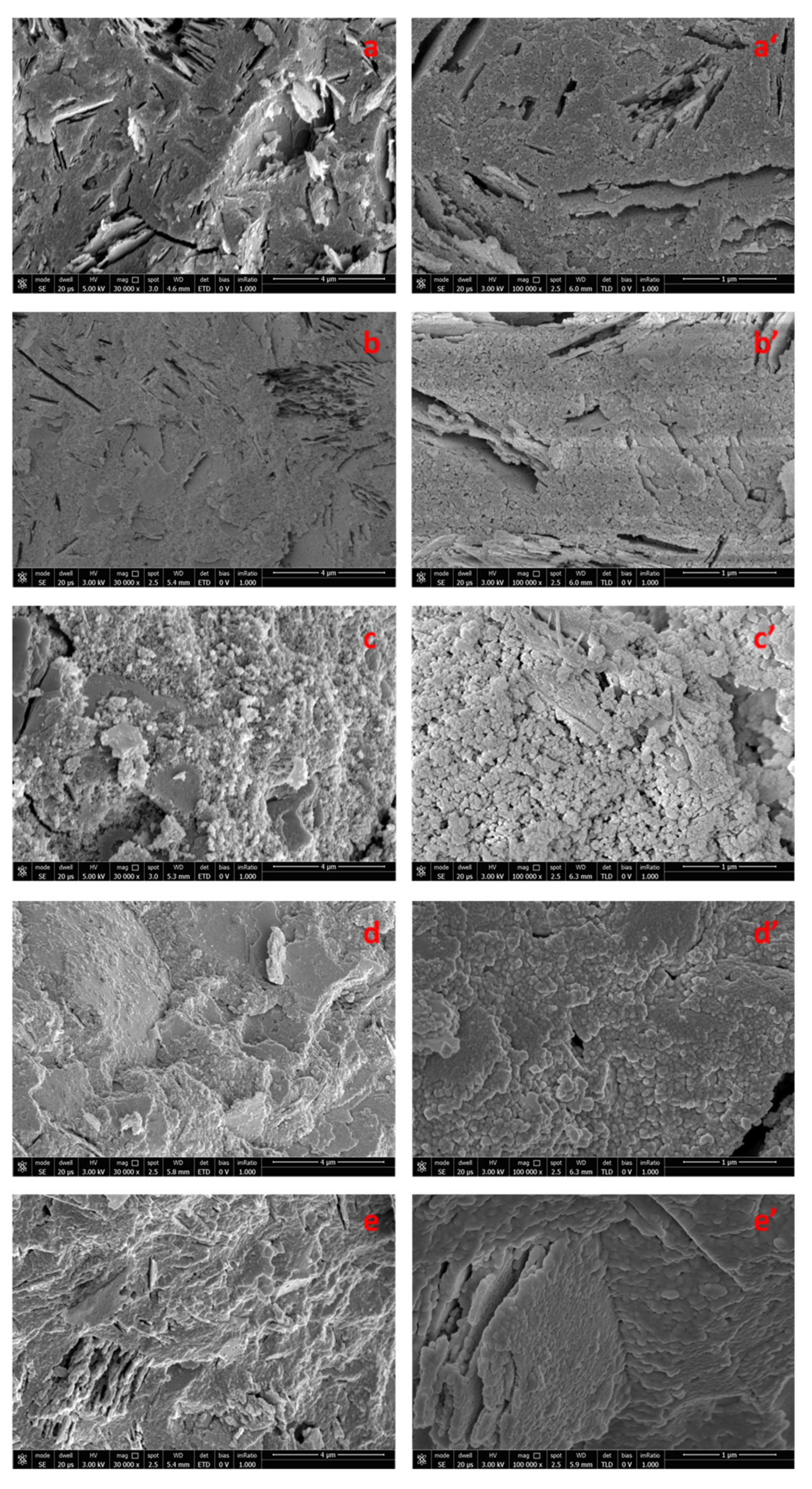 Polymers 14 05461 g003