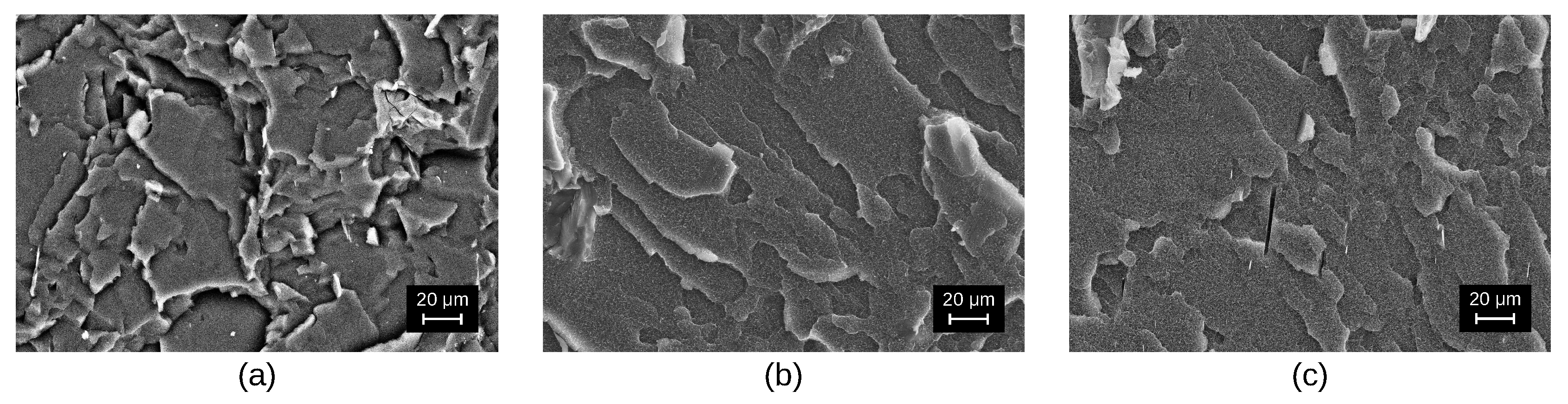 Polymers 14 05462 g001
