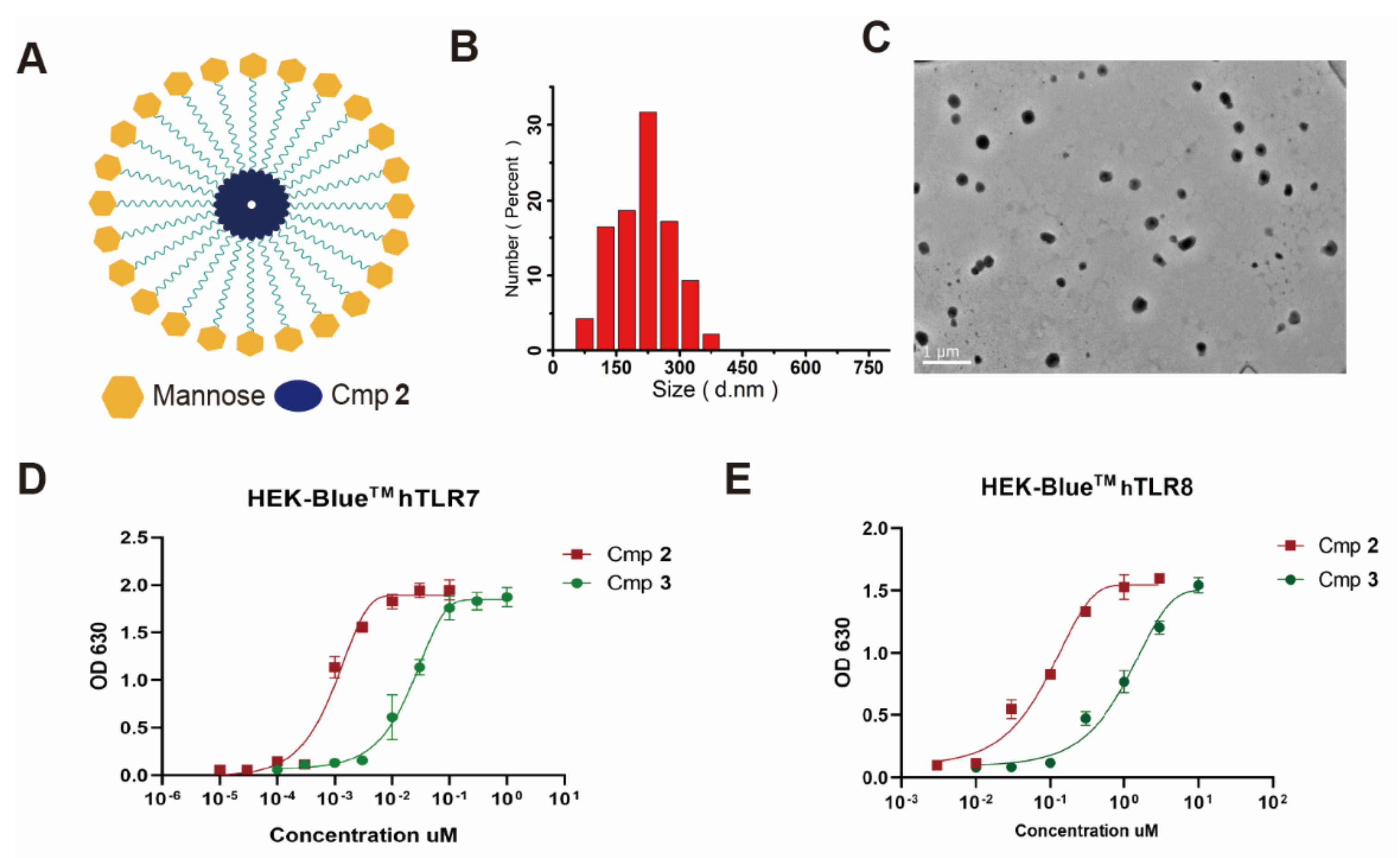 Polymers 14 05466 g001 Polymers 14 05466 g001