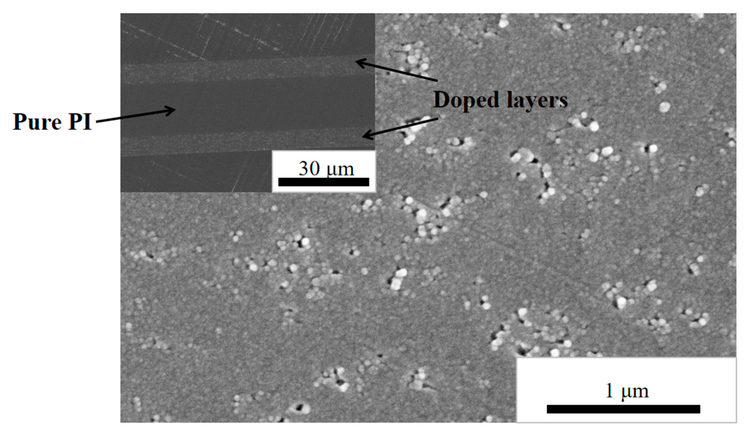 Polymers 14 05469 g002 Polymers 14 05469 g002