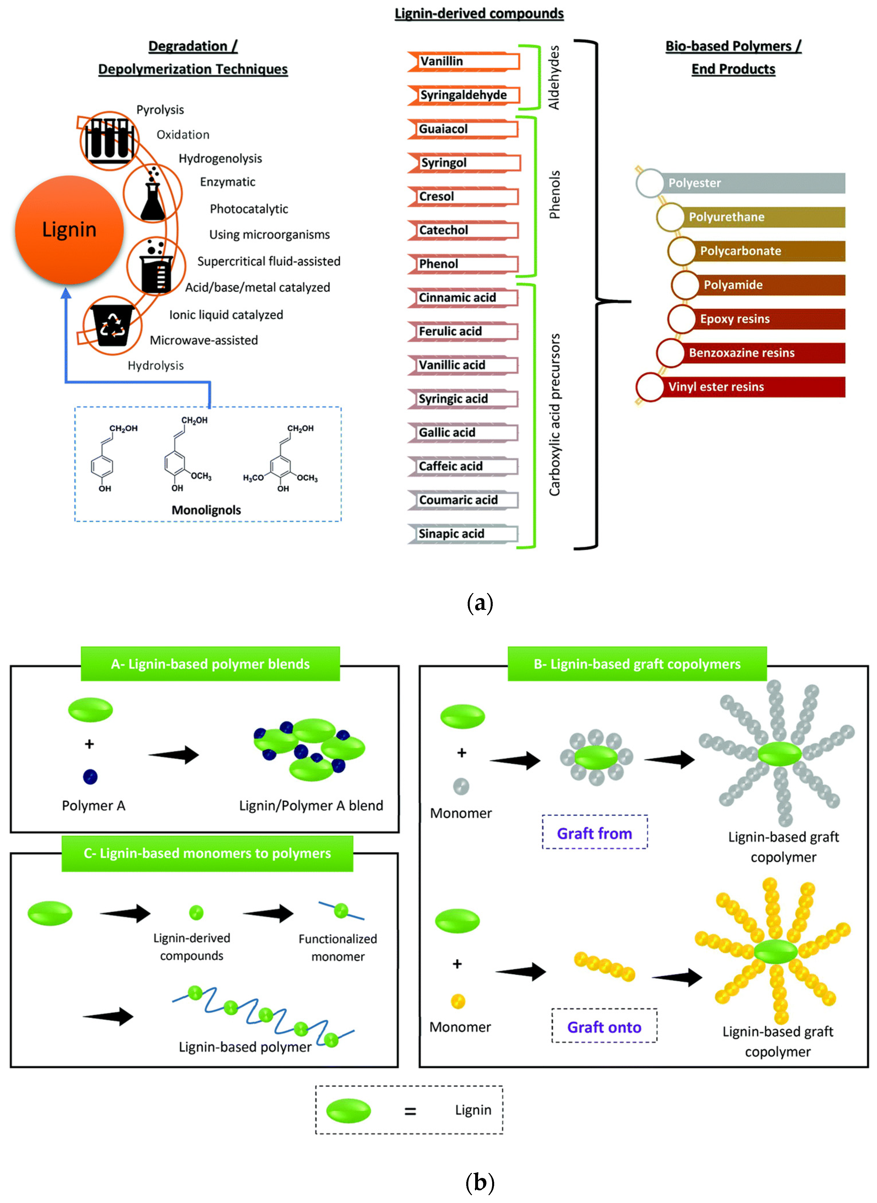 Polymers 14 05470 g002 Polymers 14 05470 g002