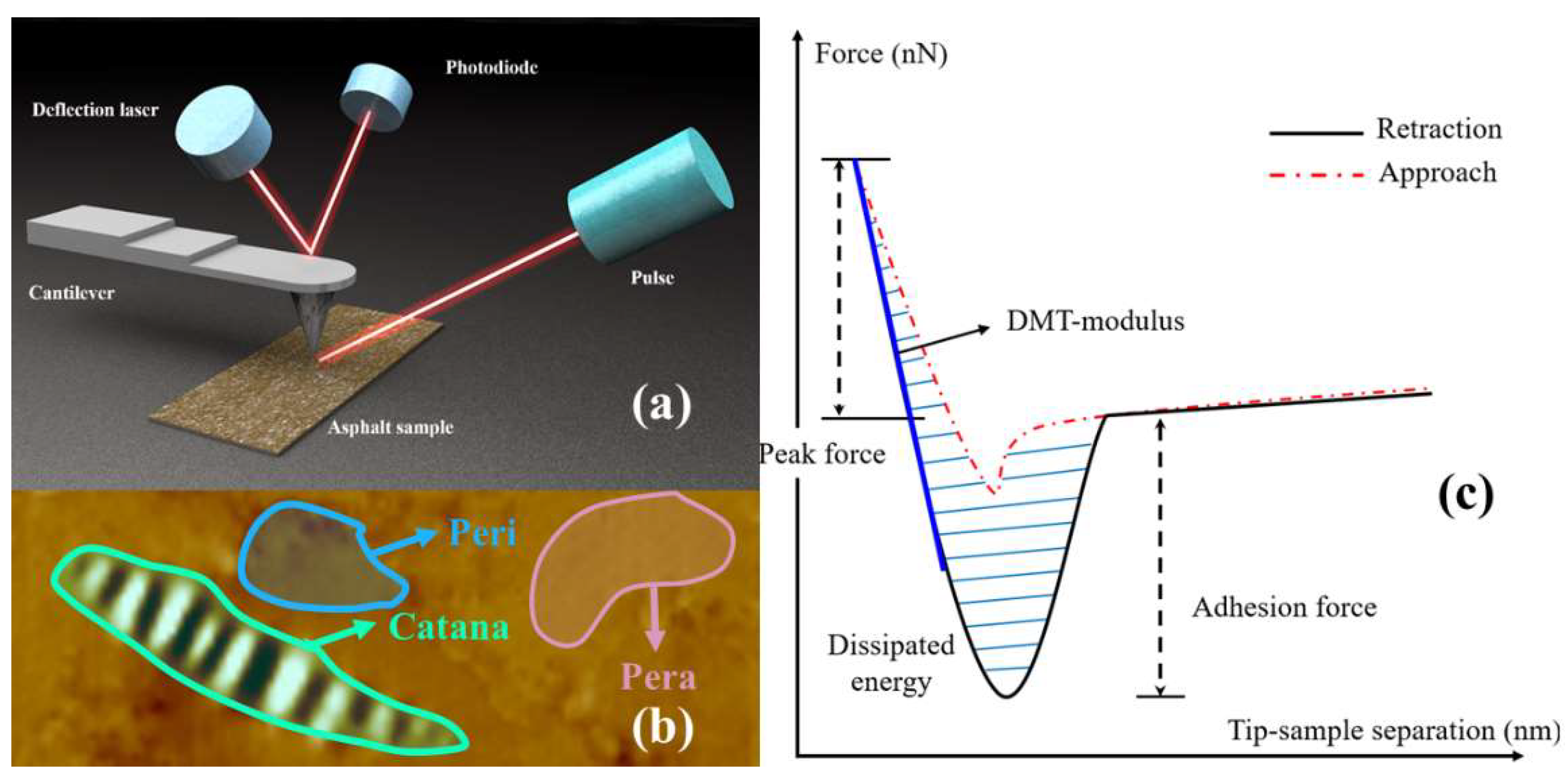 Polymers 14 05474 g003