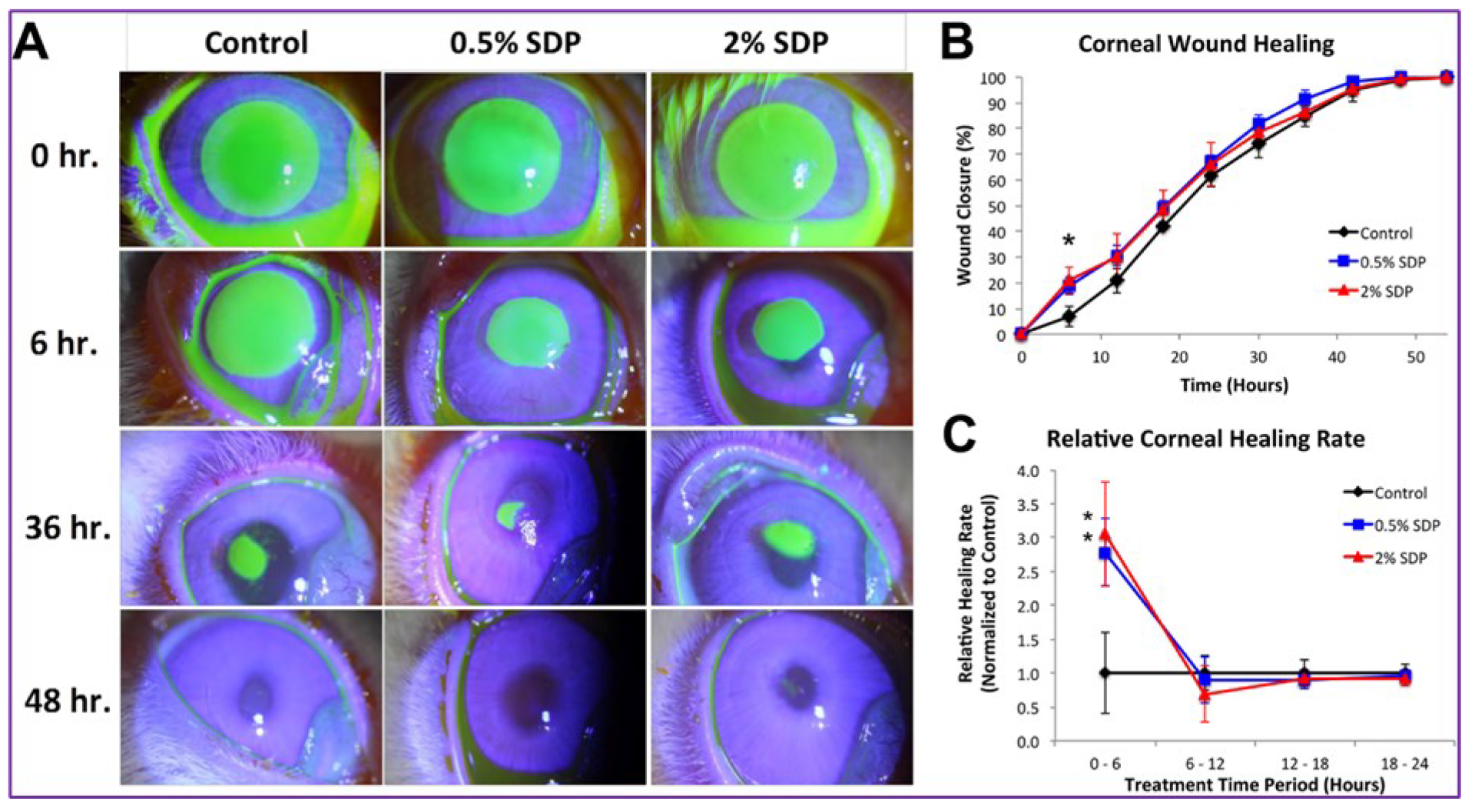 Polymers 14 05475 g002 Polymers 14 05475 g002
