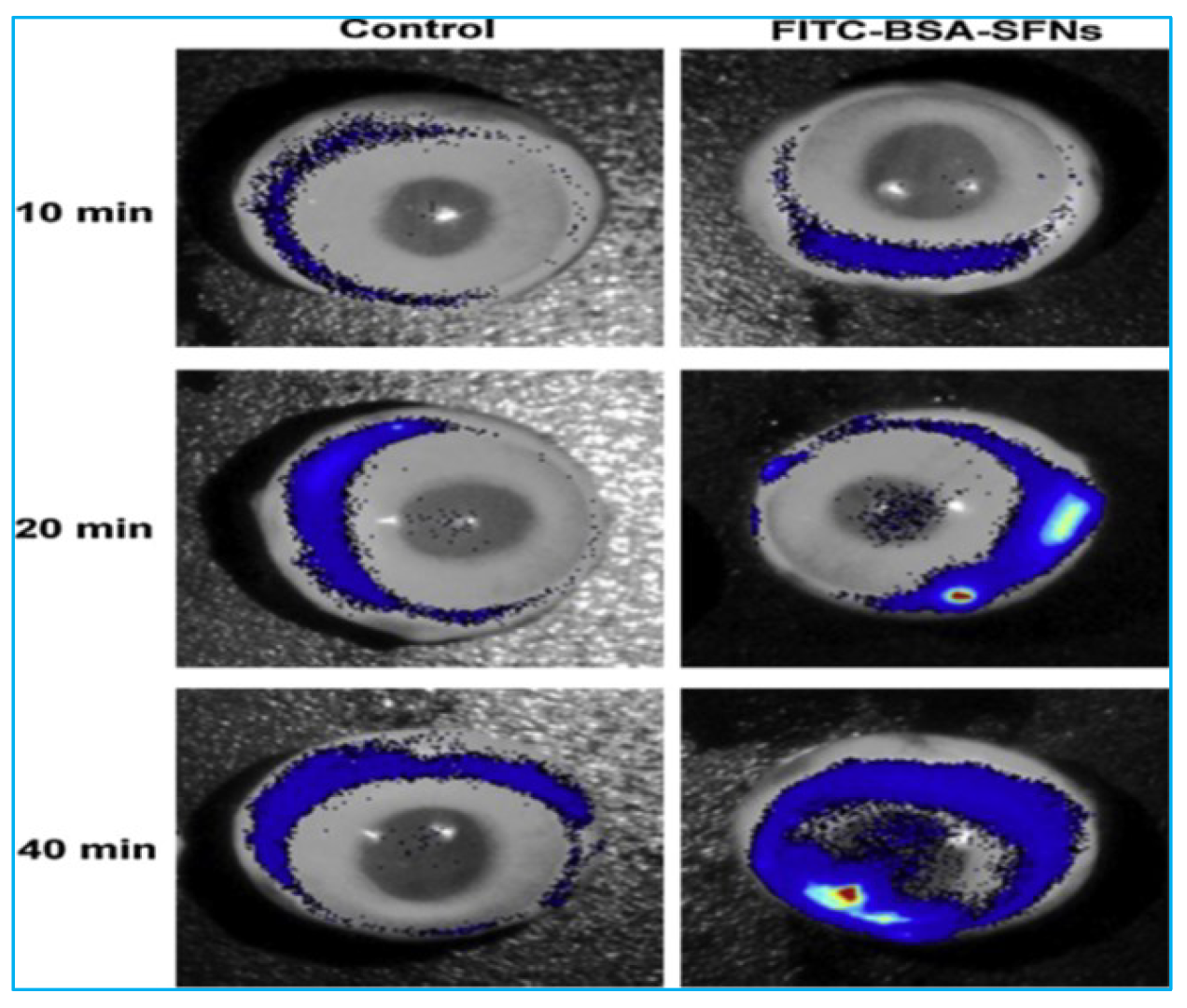 Polymers 14 05475 g006 Polymers 14 05475 g006