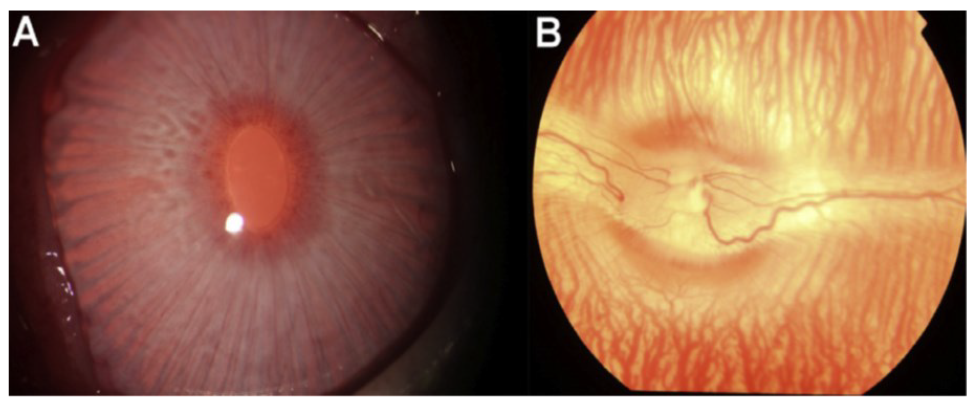 Polymers 14 05475 g007 Polymers 14 05475 g007