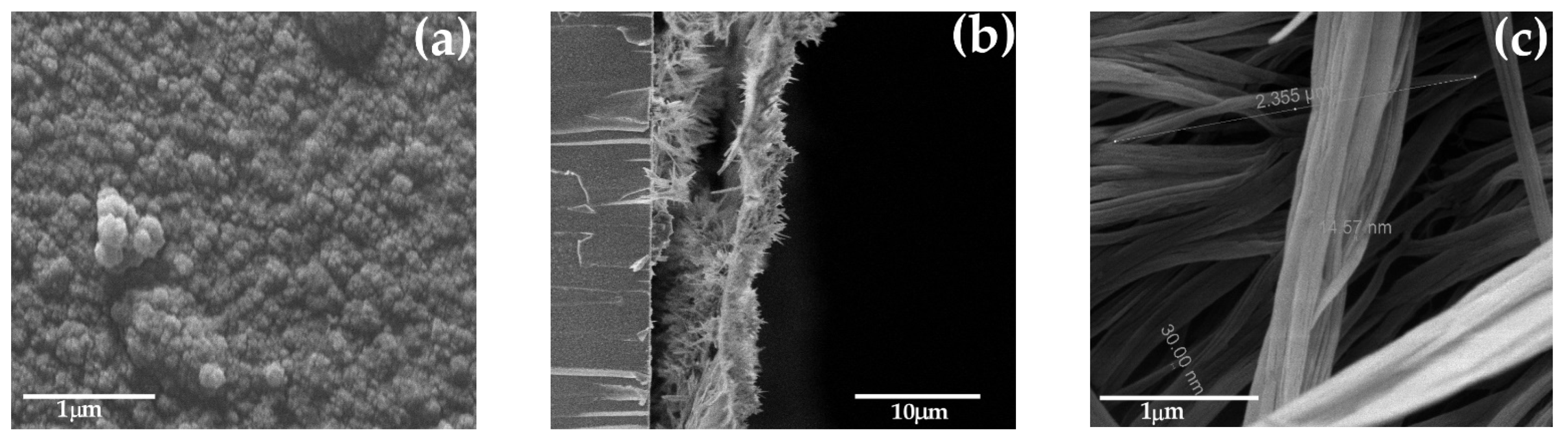 Polymers 14 05476 g004 Polymers 14 05476 g004