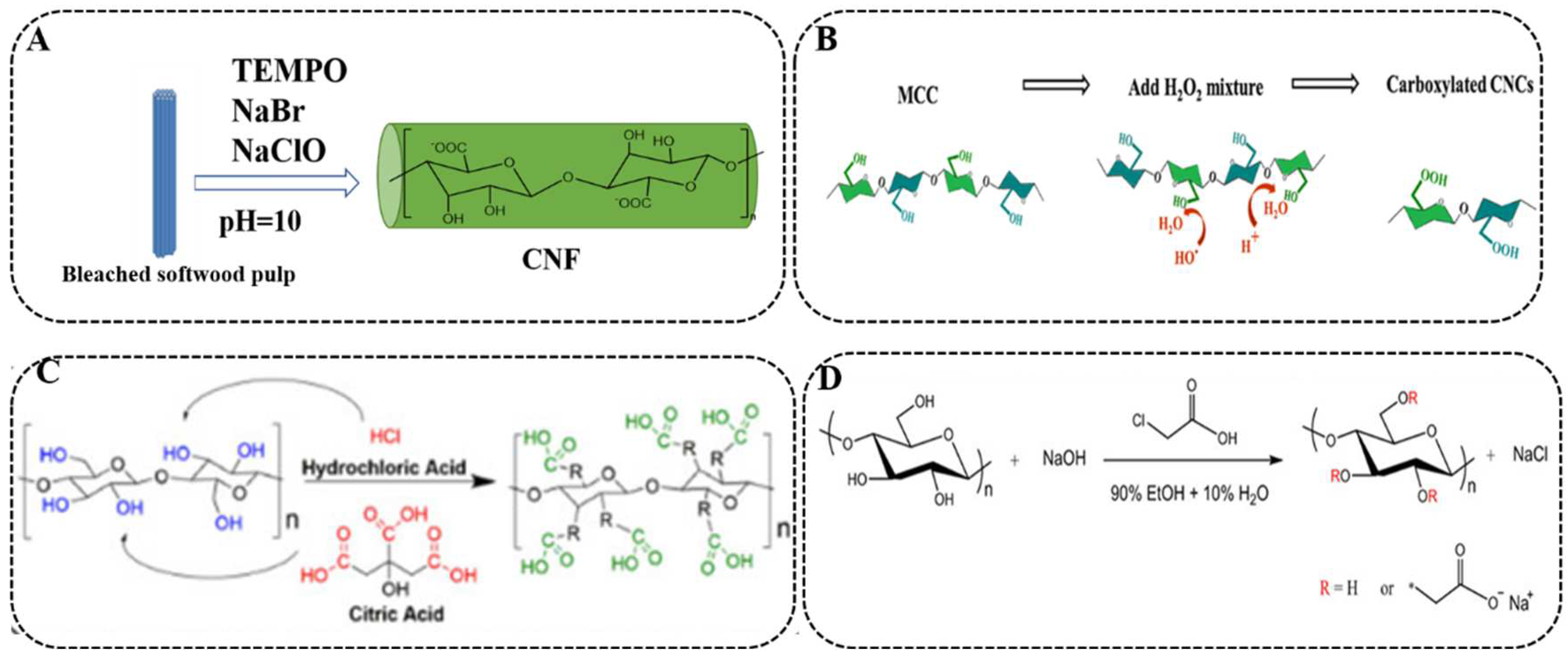 Polymers 14 05479 g003 Polymers 14 05479 g003