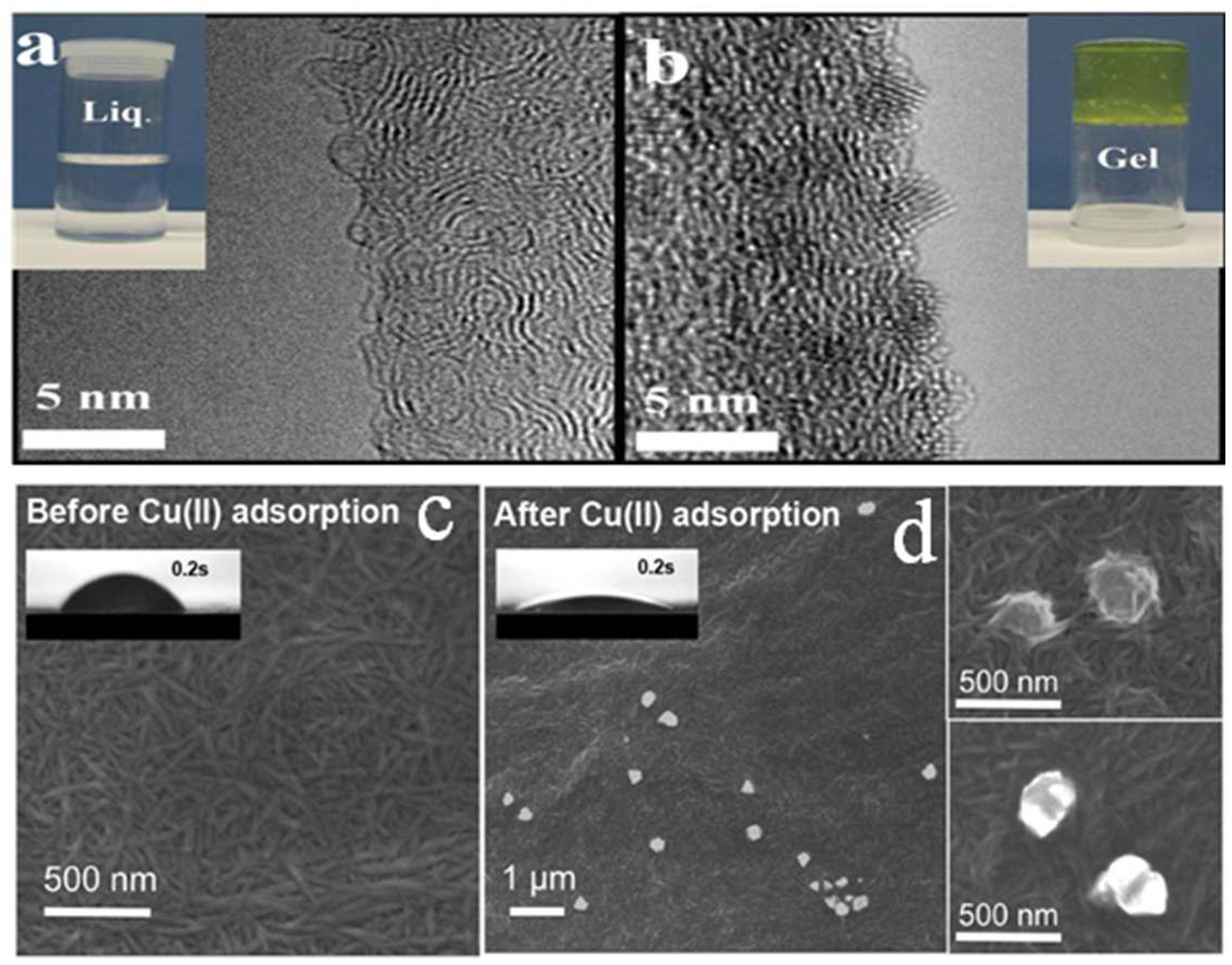 Polymers 14 05479 g004 Polymers 14 05479 g004