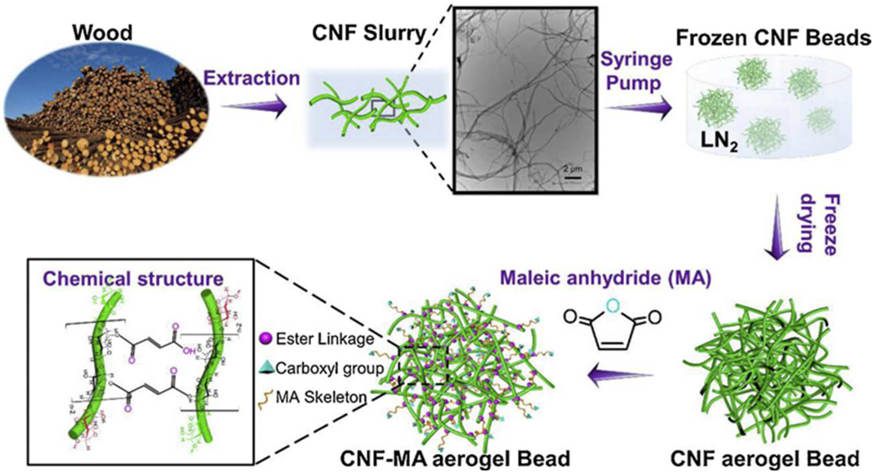 Polymers 14 05479 g005 Polymers 14 05479 g005