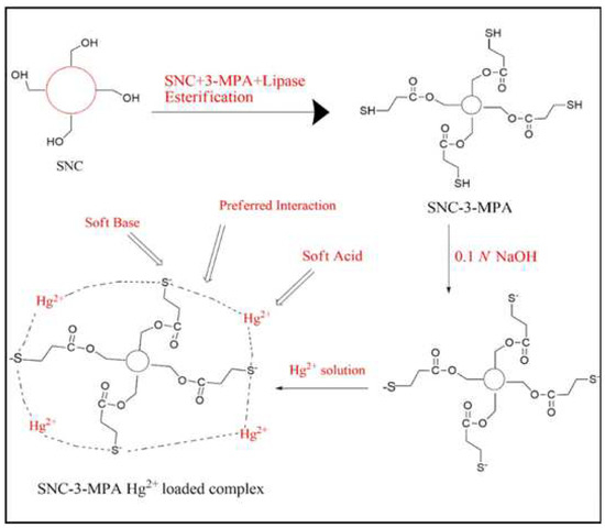 ファイヤー ファンズ CD133-Dependent Activation of Phosphoinositide 3-Kinase /AKT