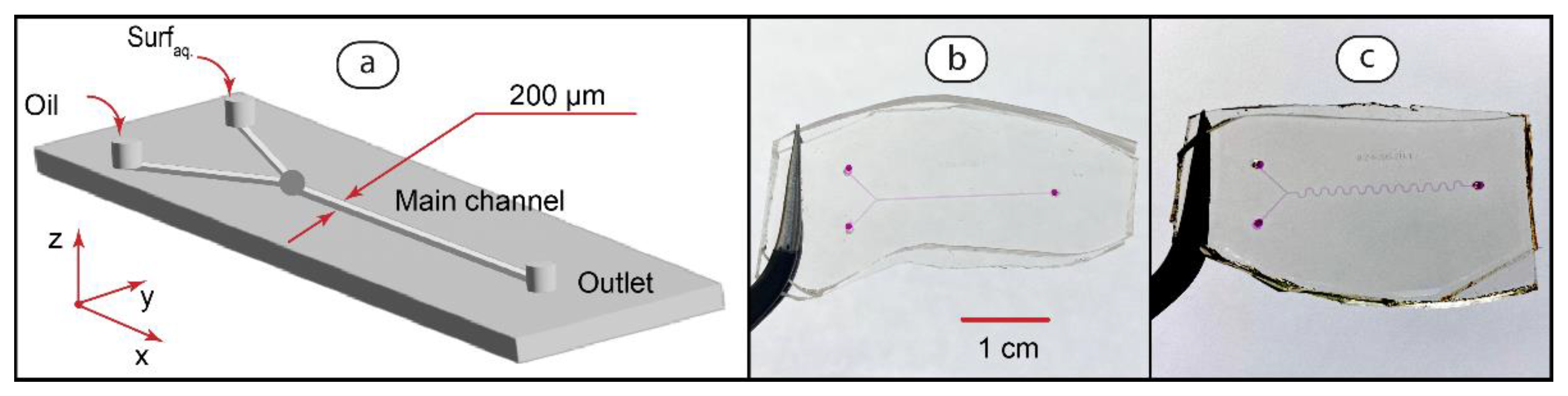 Polymers 14 05480 g002