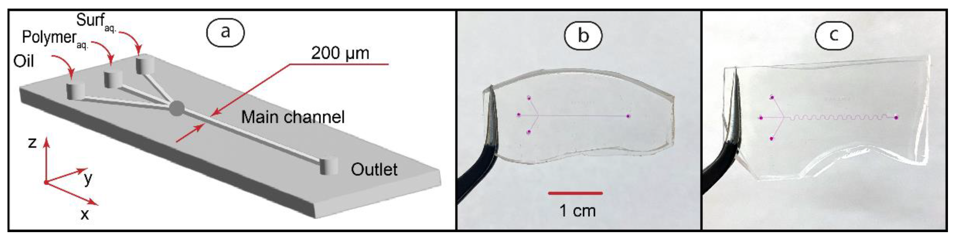 Polymers 14 05480 g004