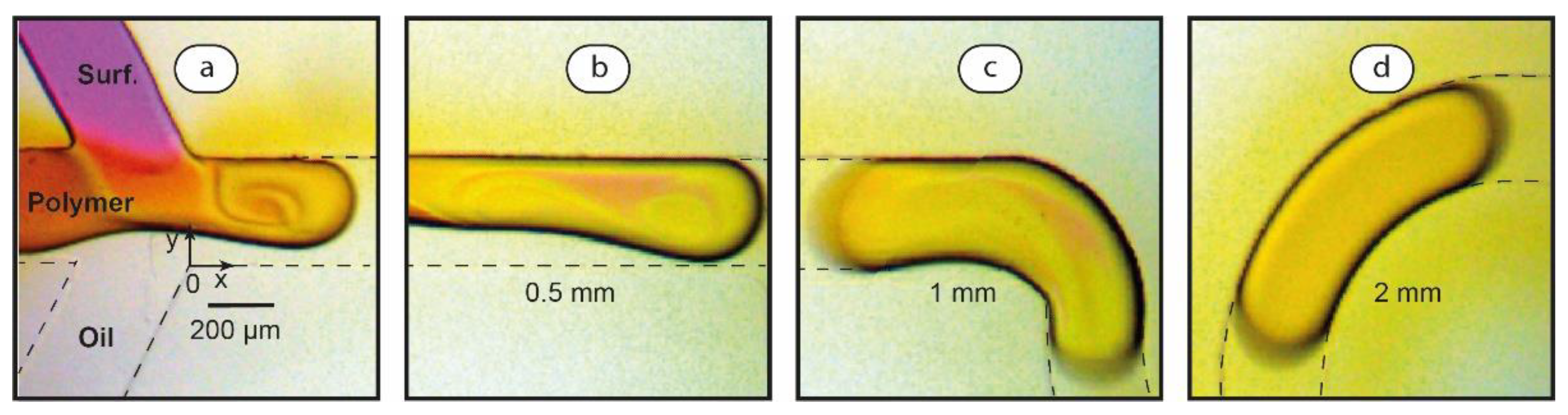 Polymers 14 05480 g005