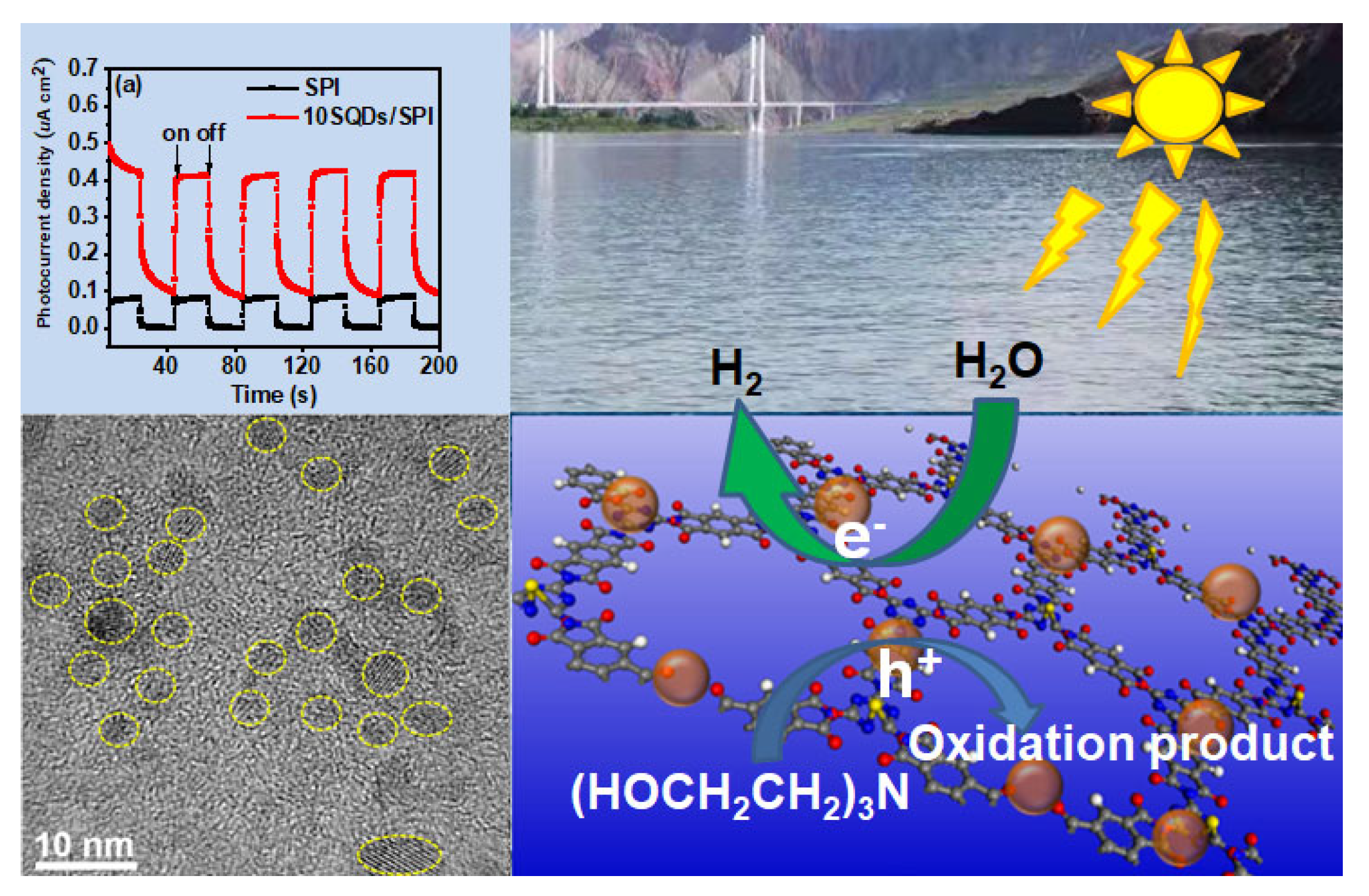 Polymers 14 05483 sch002