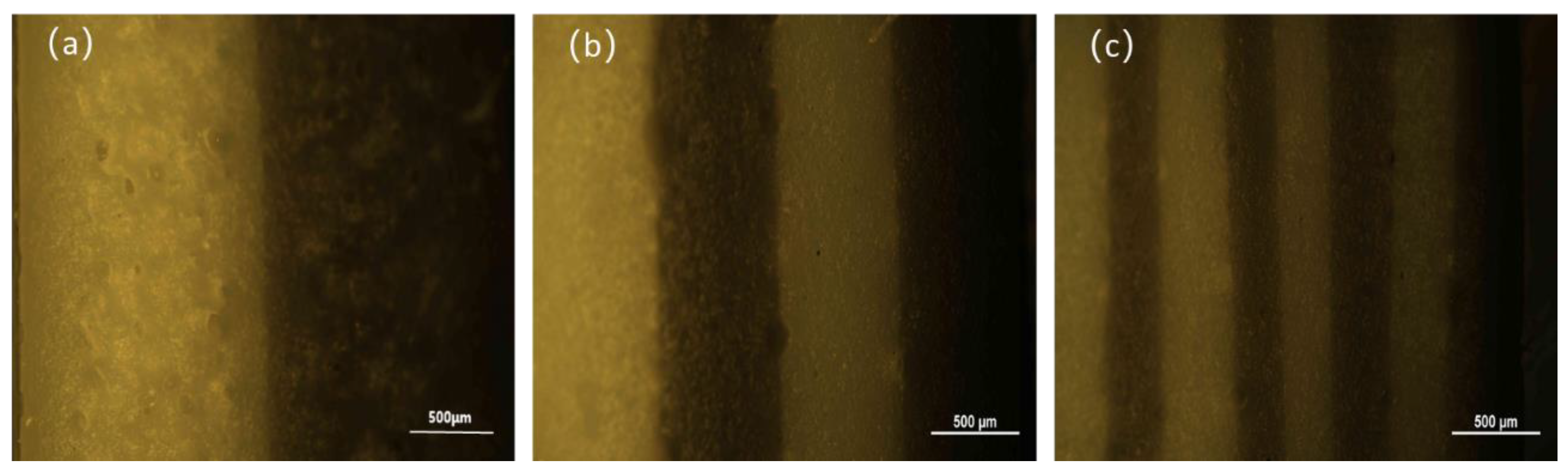 Polymers 14 05484 g003 Polymers 14 05484 g003