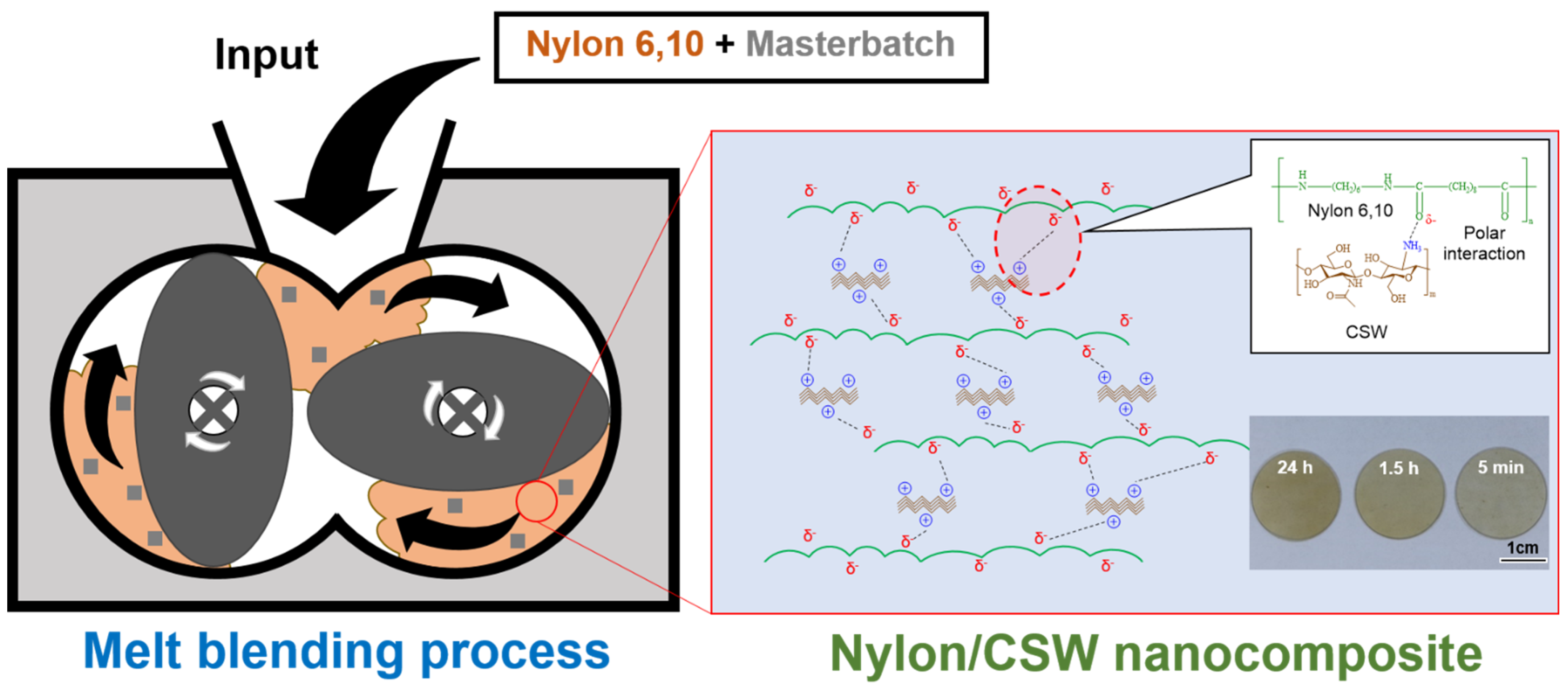 Polymers 14 05488 g001