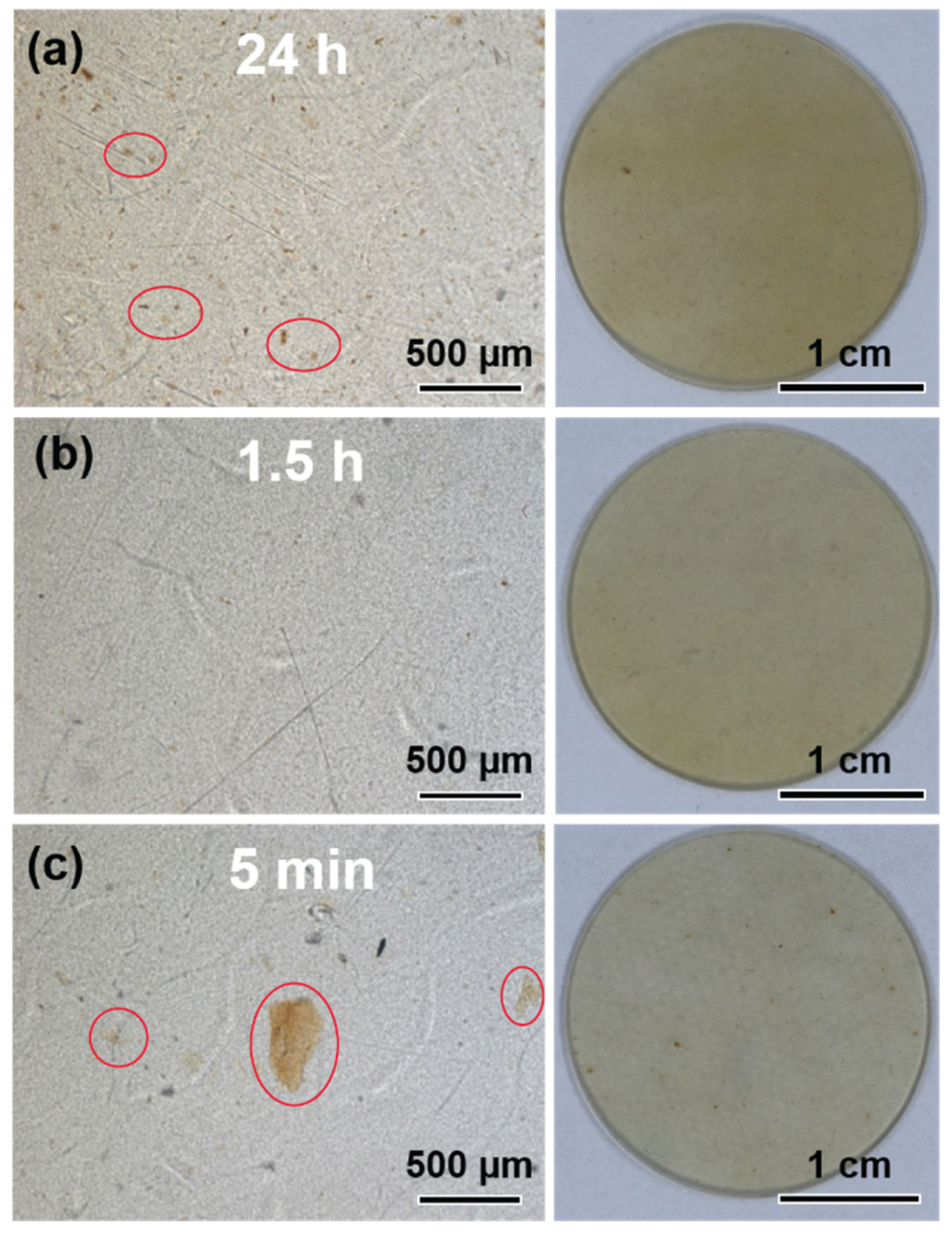 Polymers 14 05488 g005