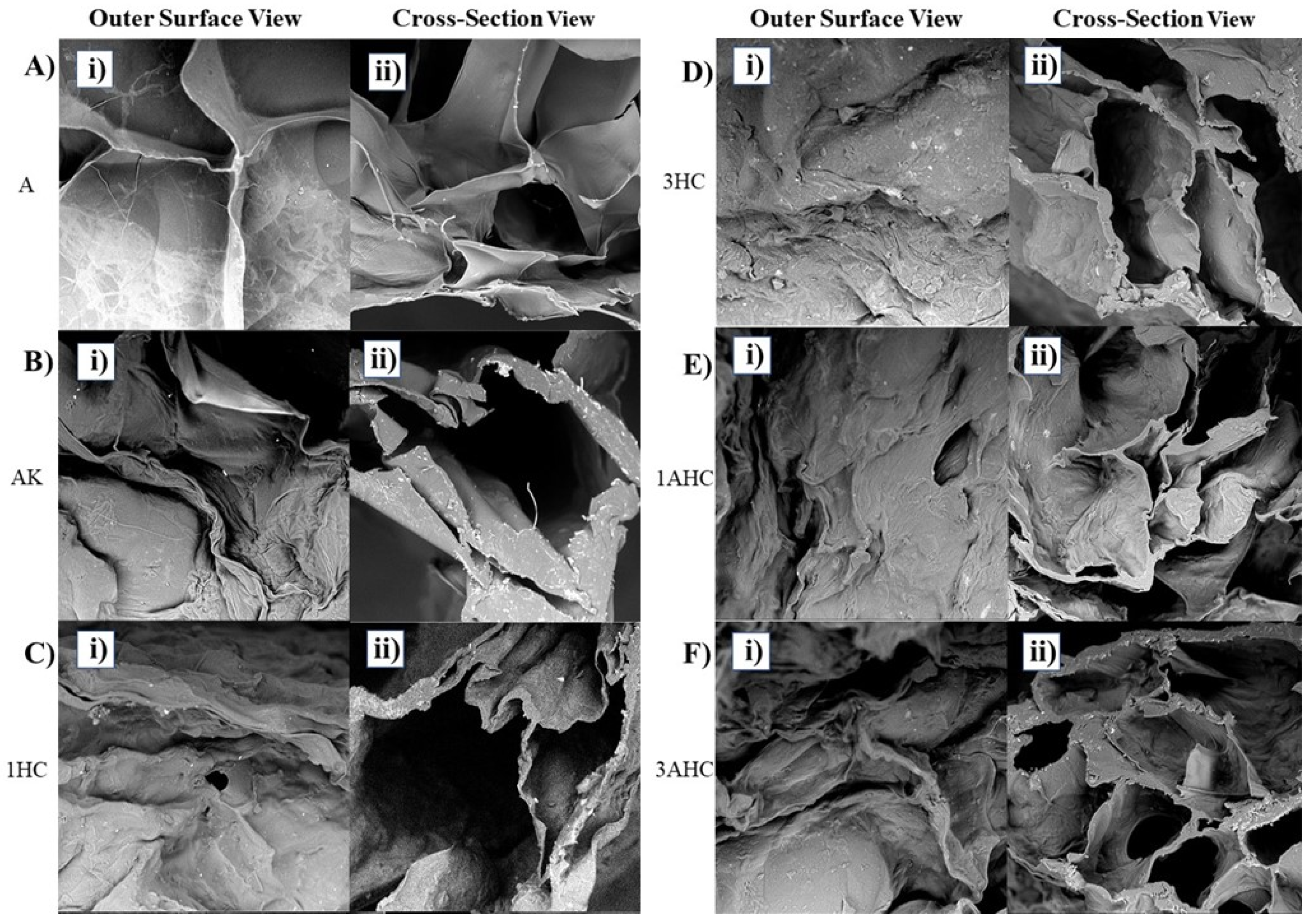 Polymers 14 05489 g004 Polymers 14 05489 g004
