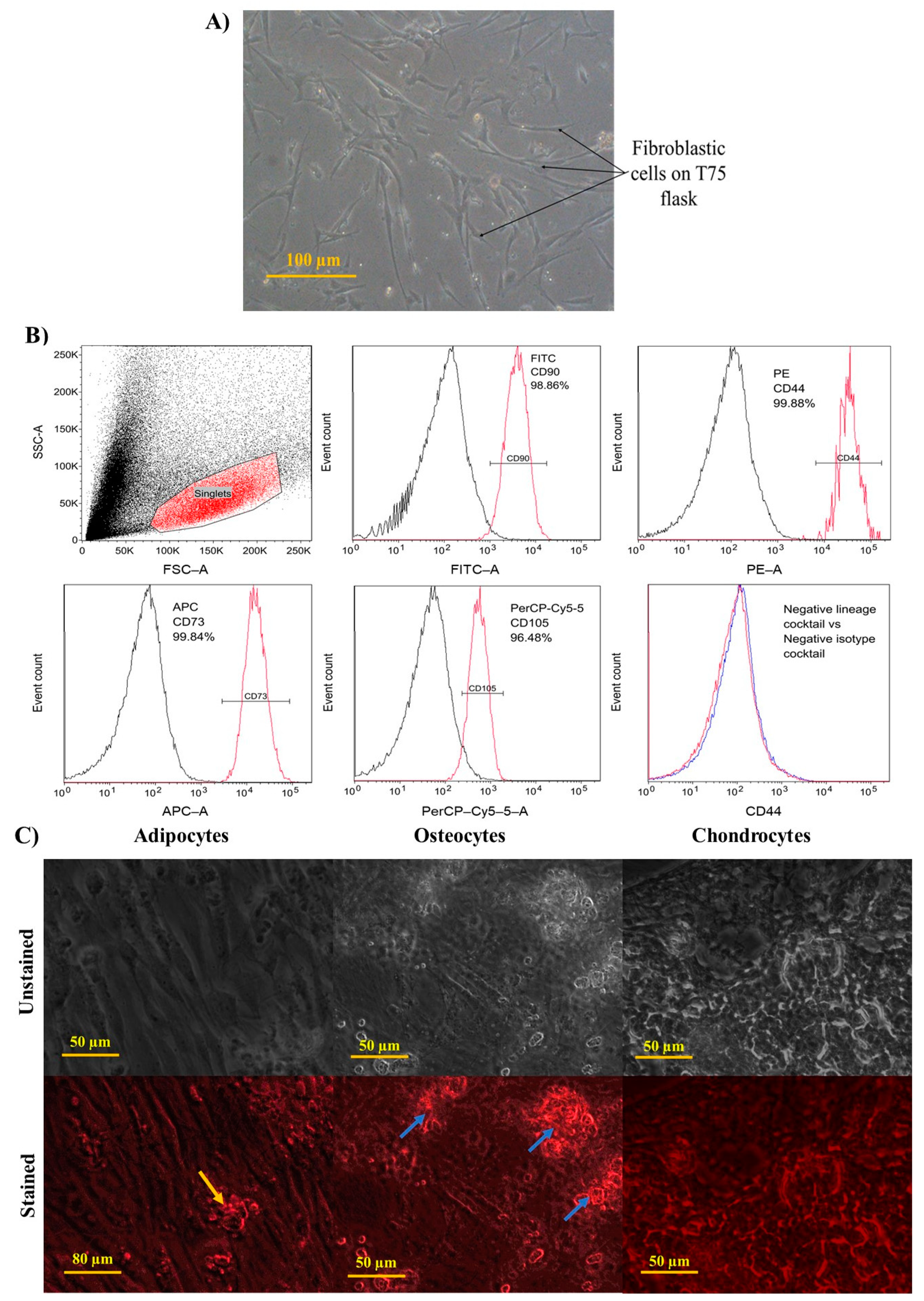 Polymers 14 05489 g011 Polymers 14 05489 g011
