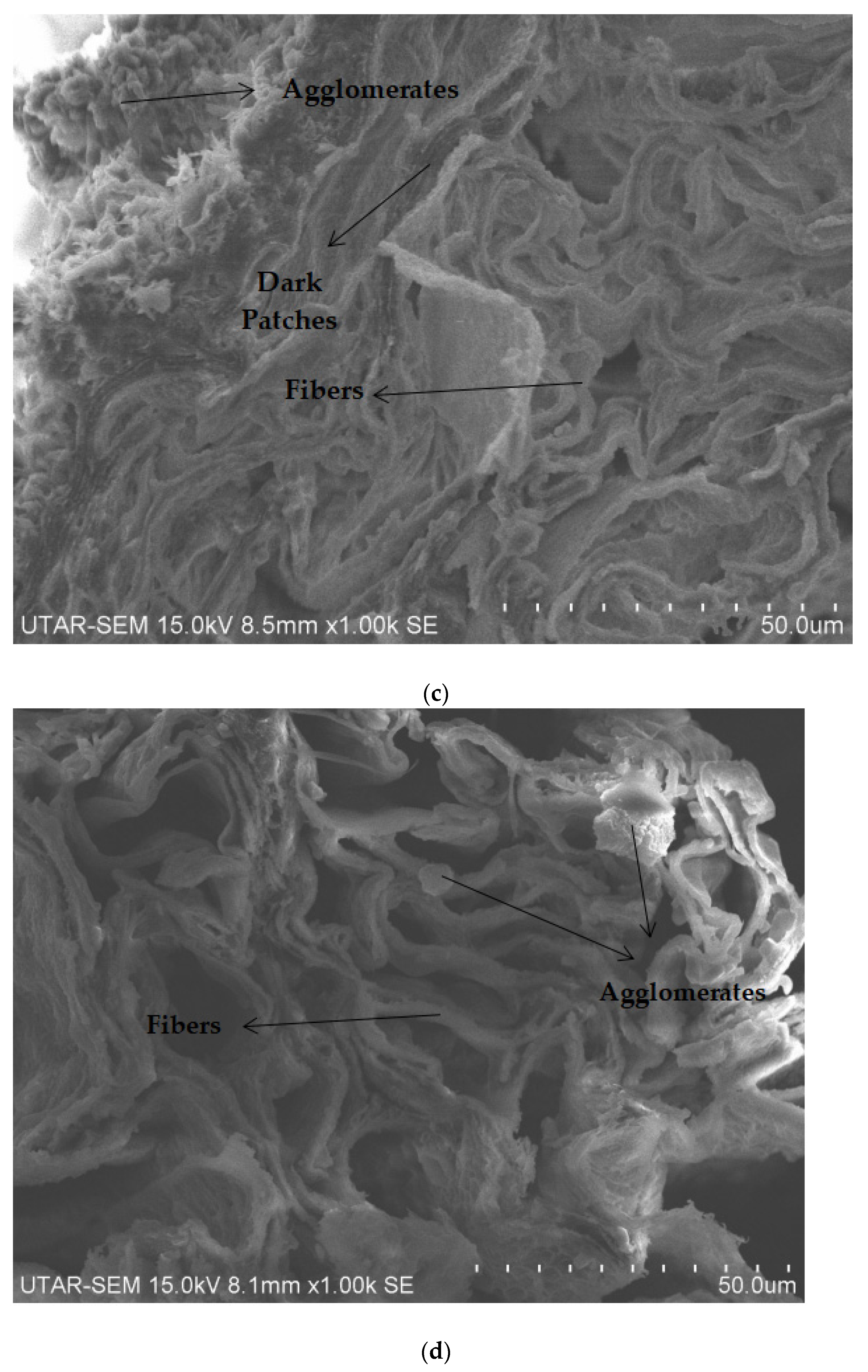 Polymers 14 05494 g015b Polymers 14 05494 g015b