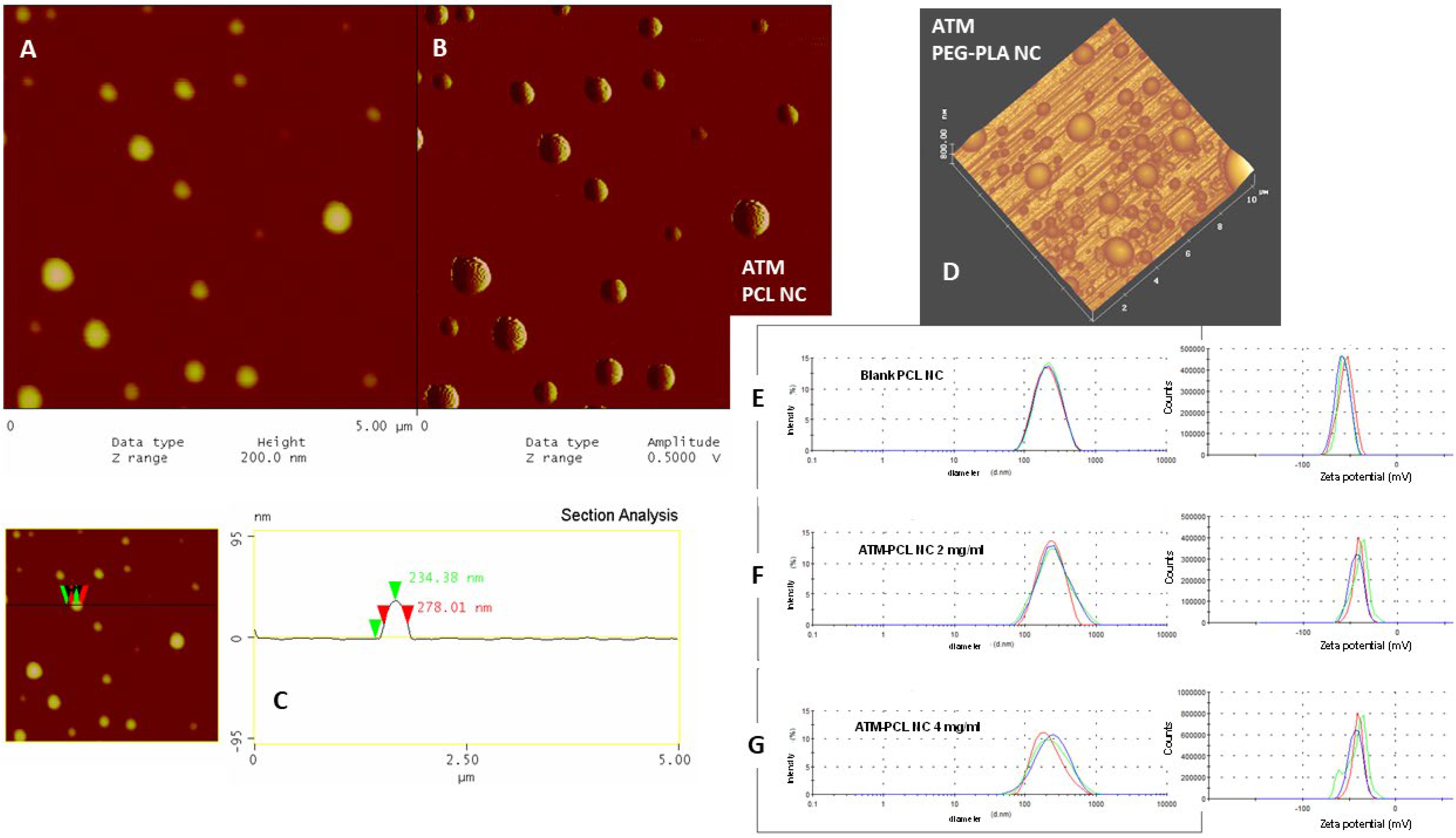 Polymers 14 05503 g002 Polymers 14 05503 g002