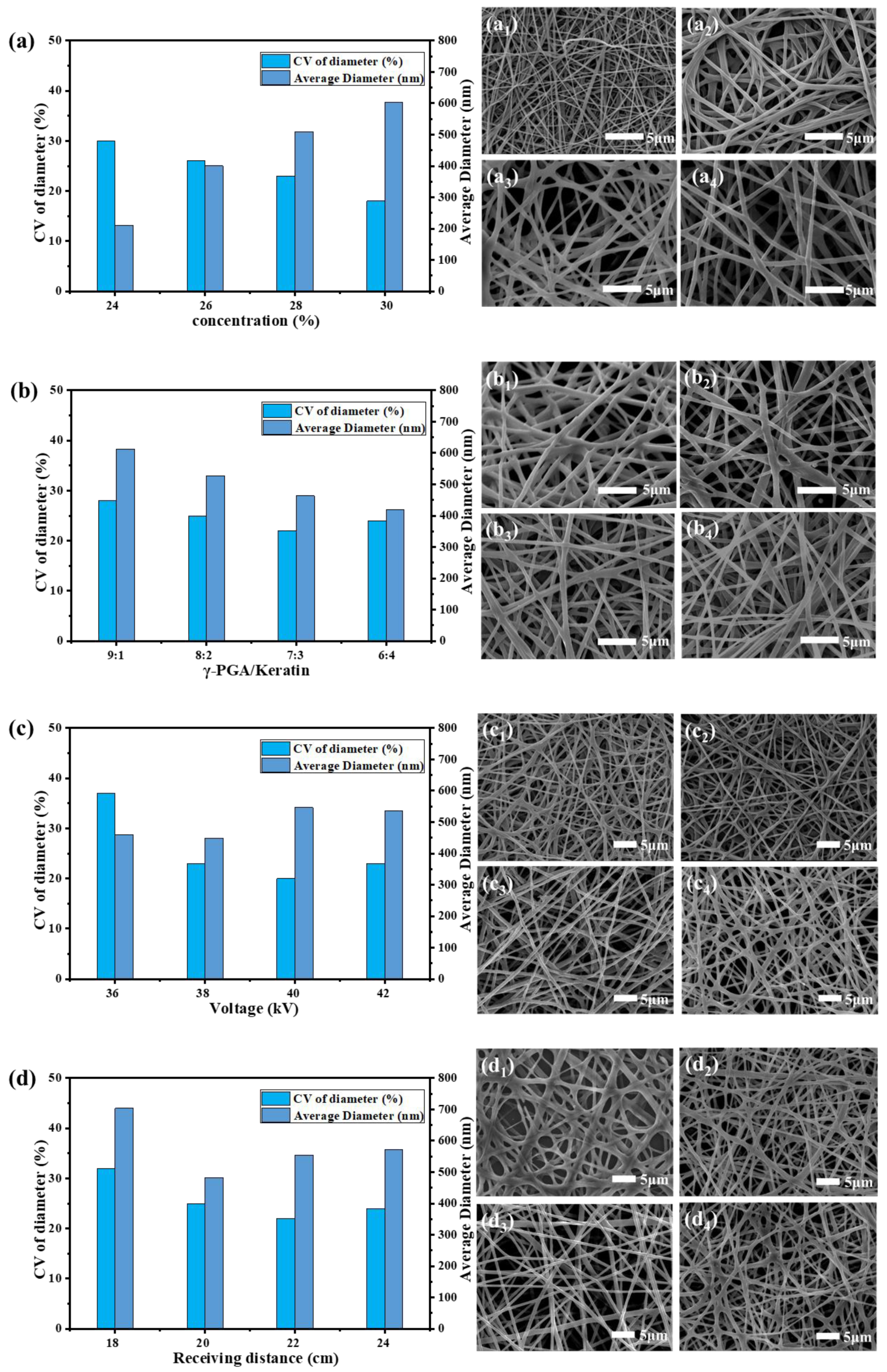 Polymers 14 05505 g001