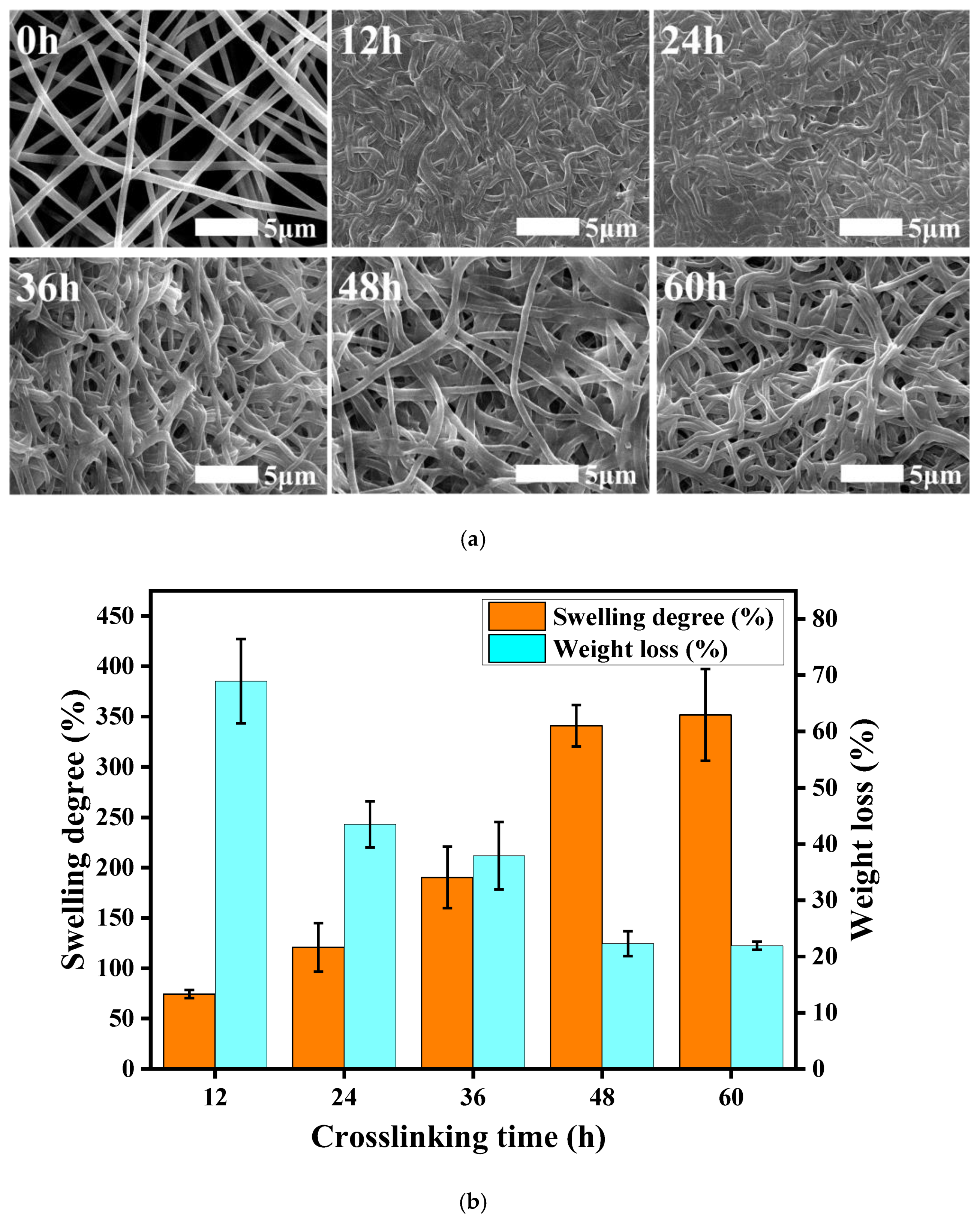 Polymers 14 05505 g003