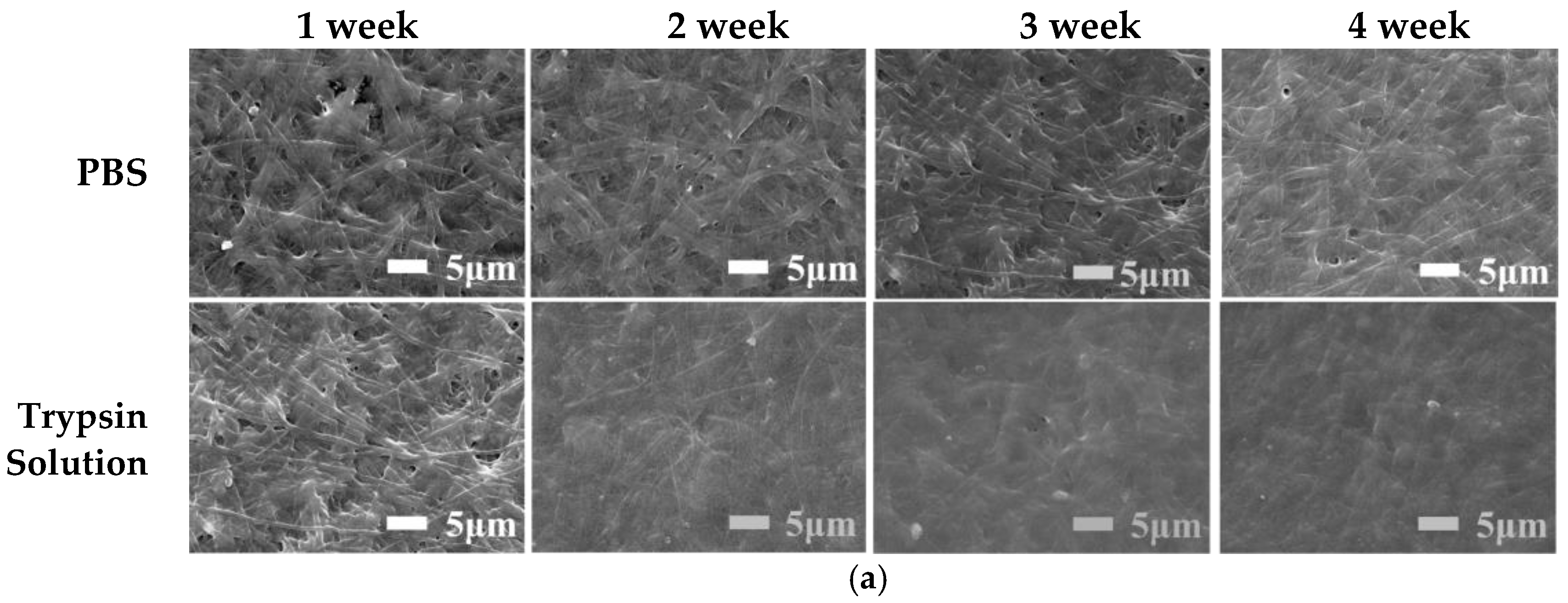 Polymers 14 05505 g006a