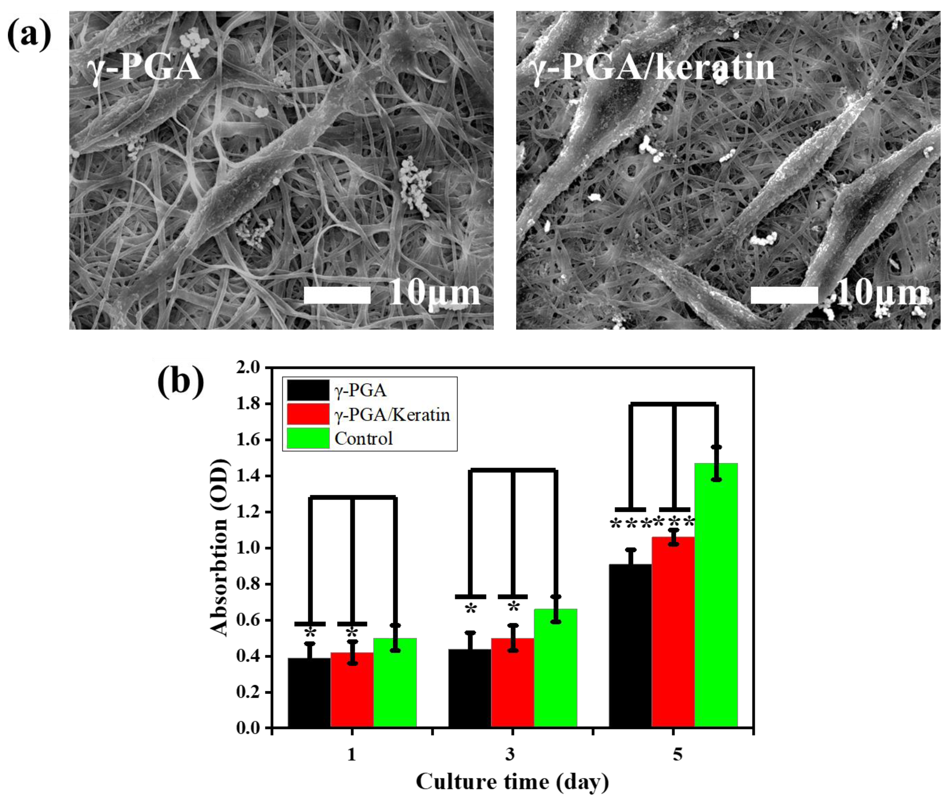 Polymers 14 05505 g007