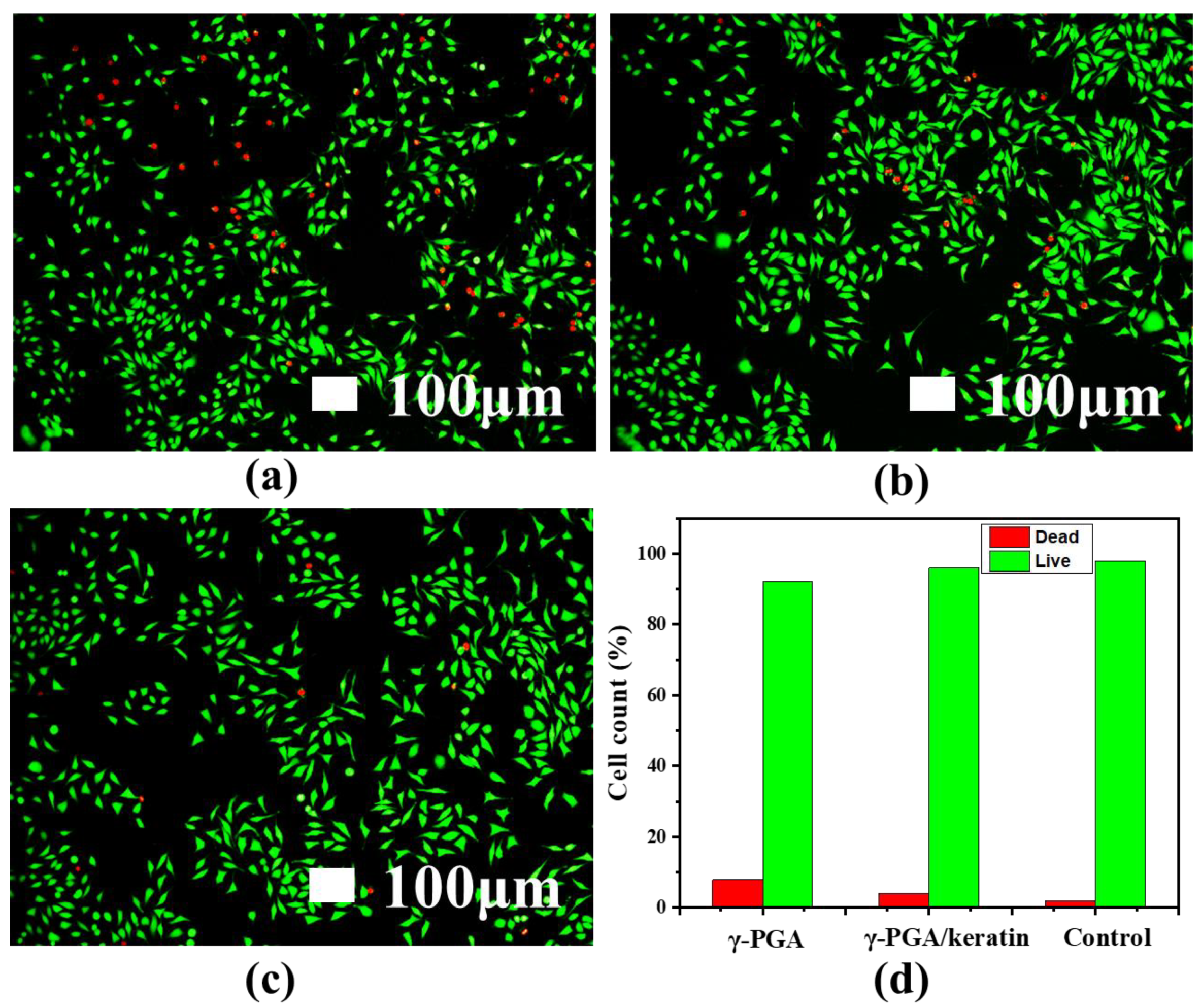 Polymers 14 05505 g008