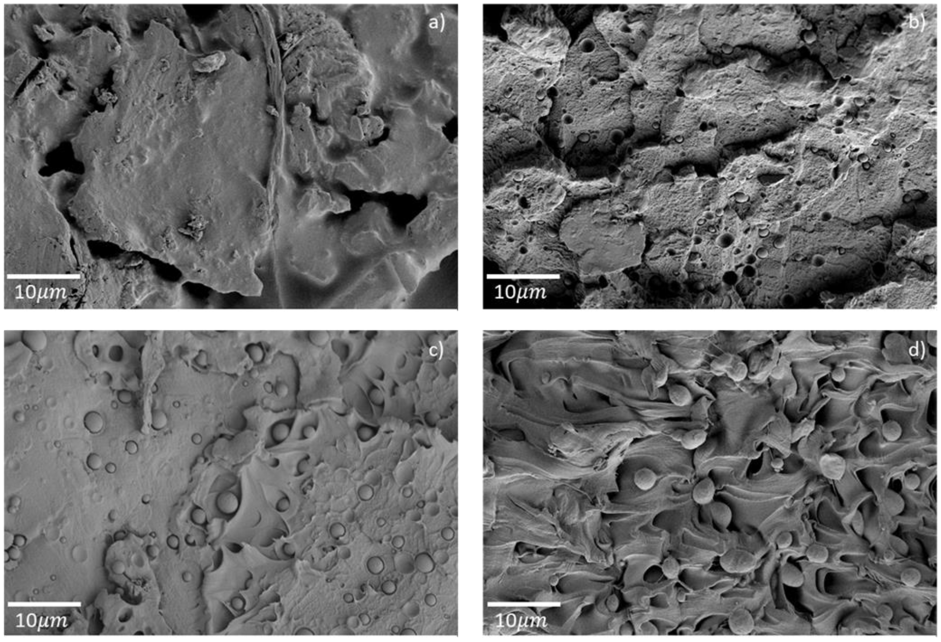 Polymers 14 05507 g004