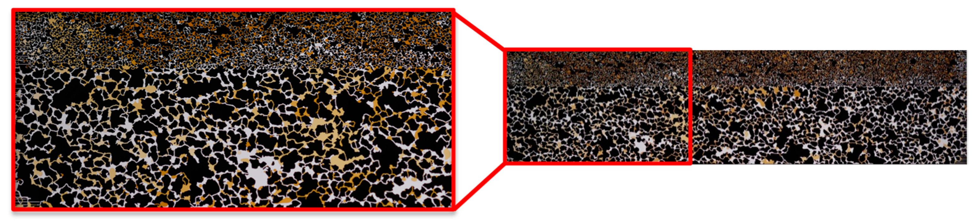 Polymers 14 05508 g009