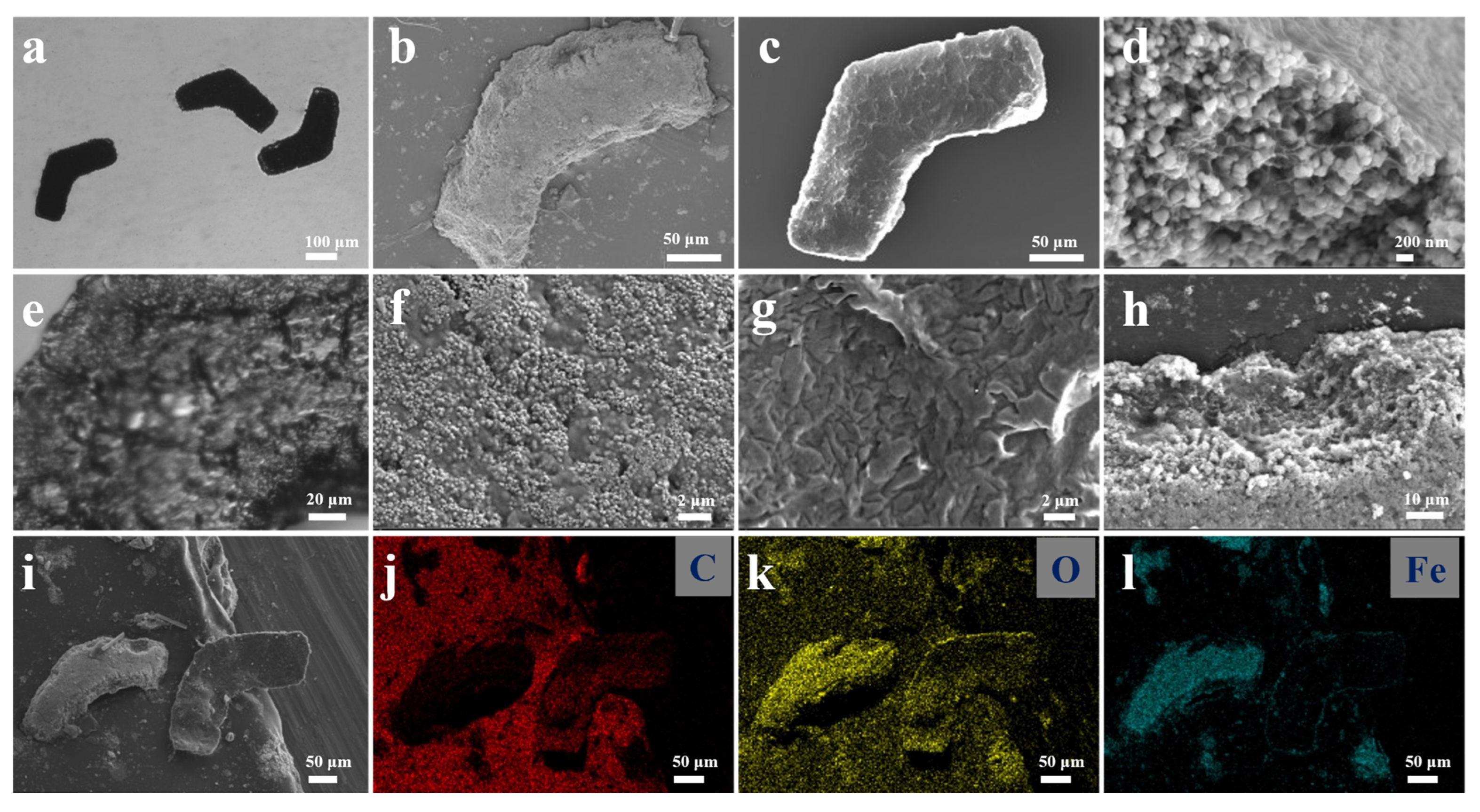 Polymers 14 05509 g003