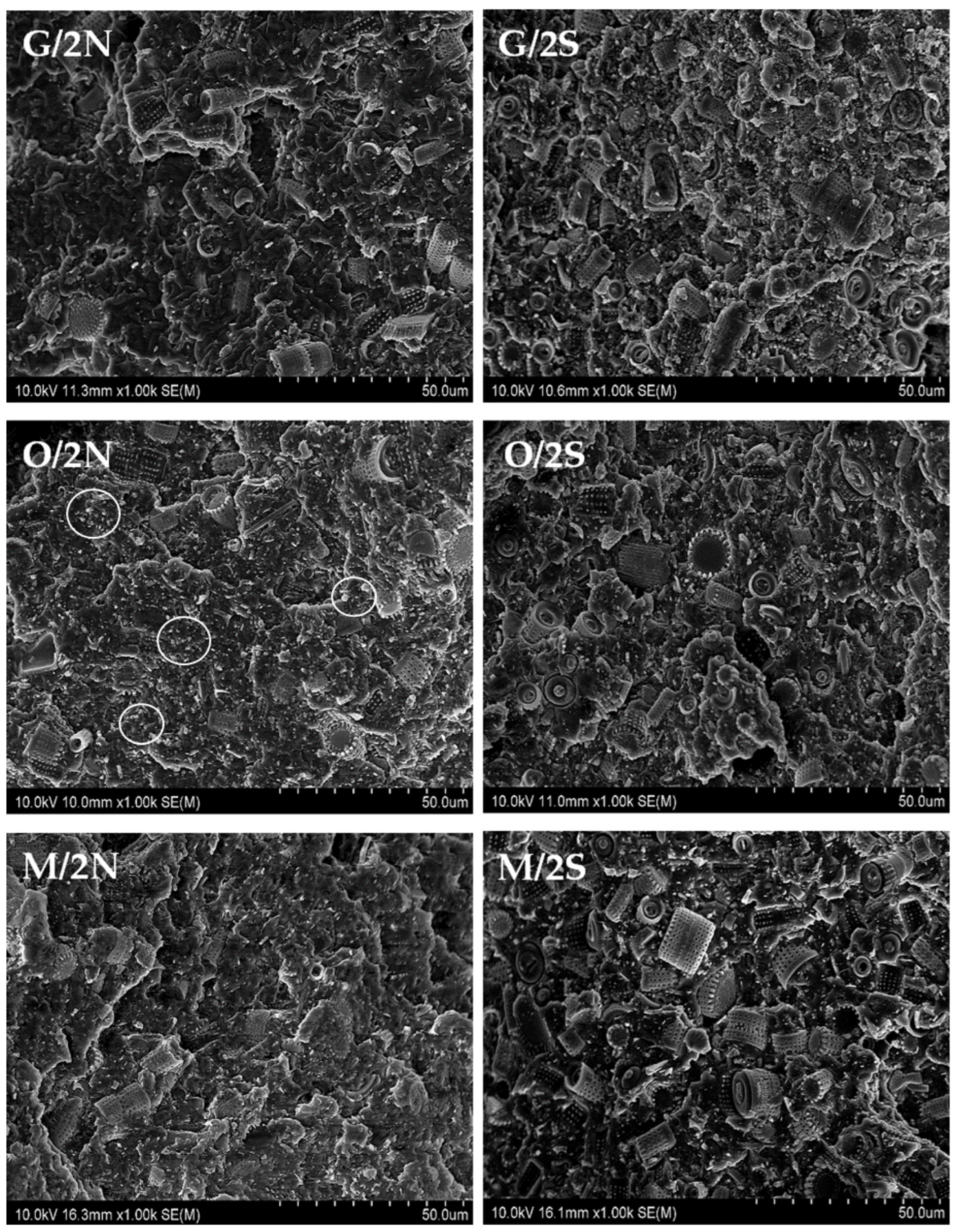 Polymers 14 05511 g011 Polymers 14 05511 g011
