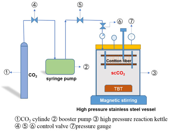 、 Analysis of Macro- and Microphysical Characteristics of Ice