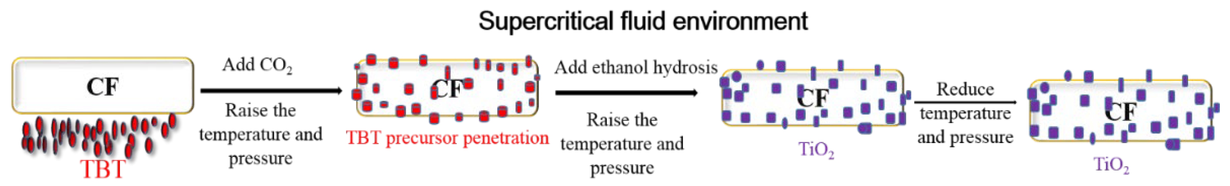 Polymers 14 05513 g002
