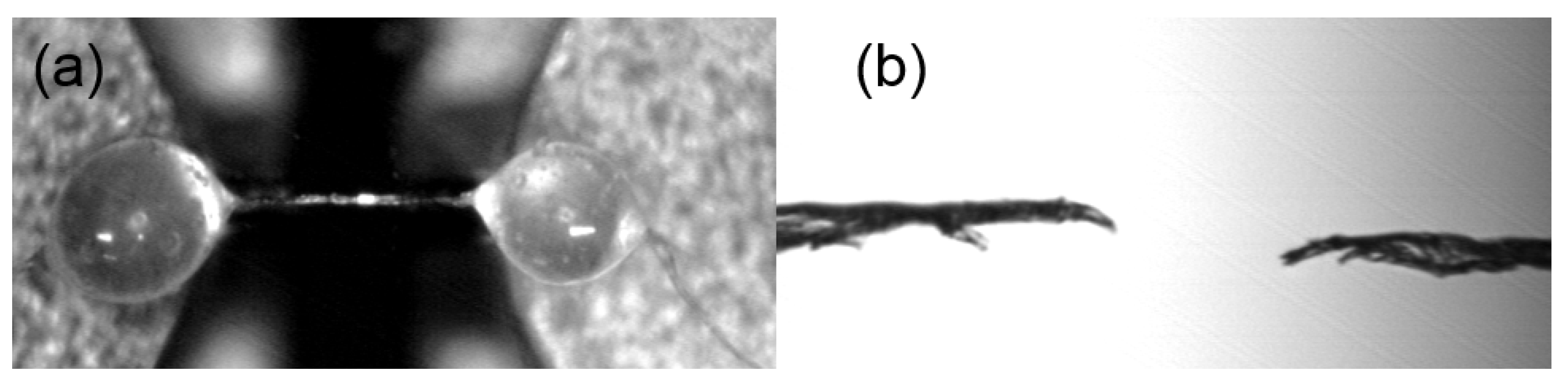 Polymers 14 05513 g003