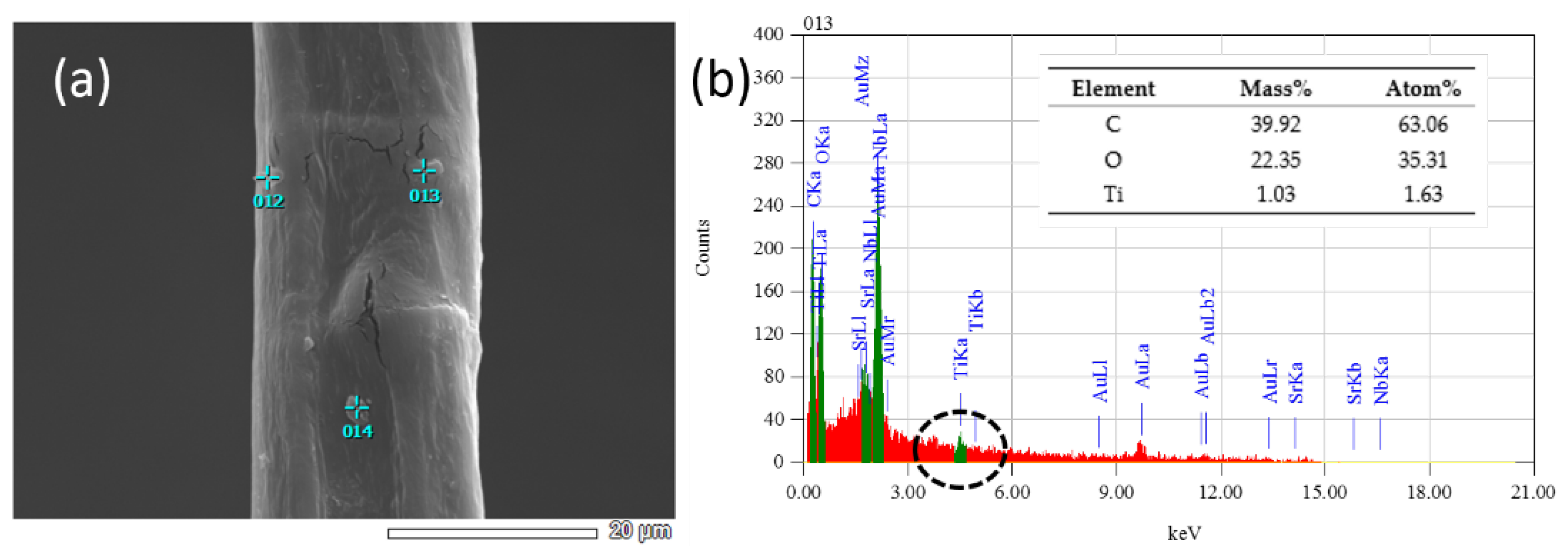 Polymers 14 05513 g006