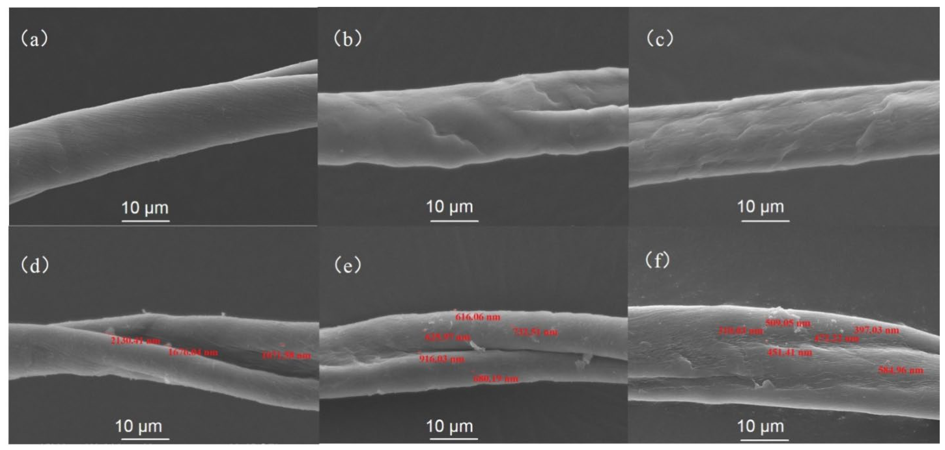 Polymers 14 05513 g009