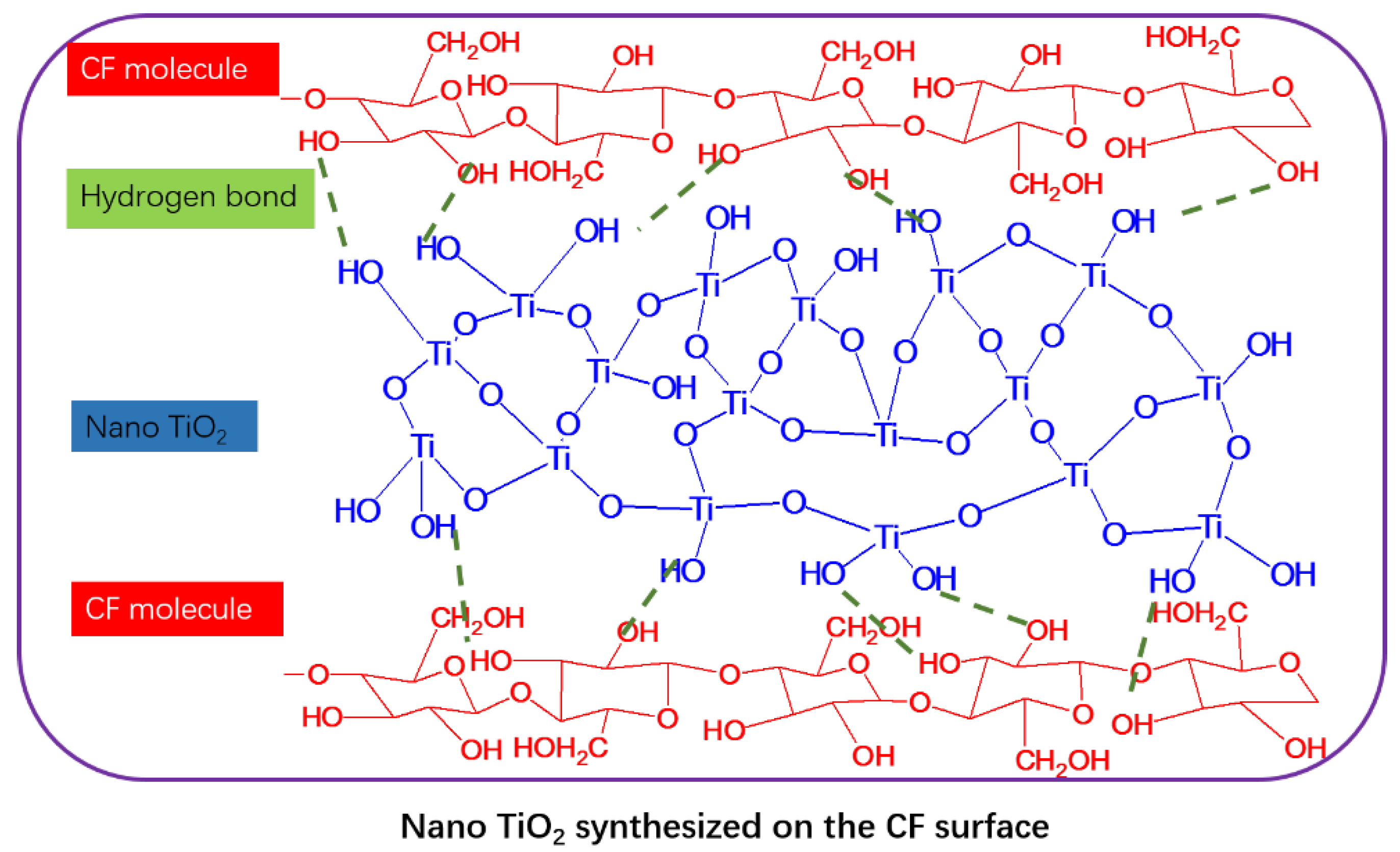 Polymers 14 05513 g013