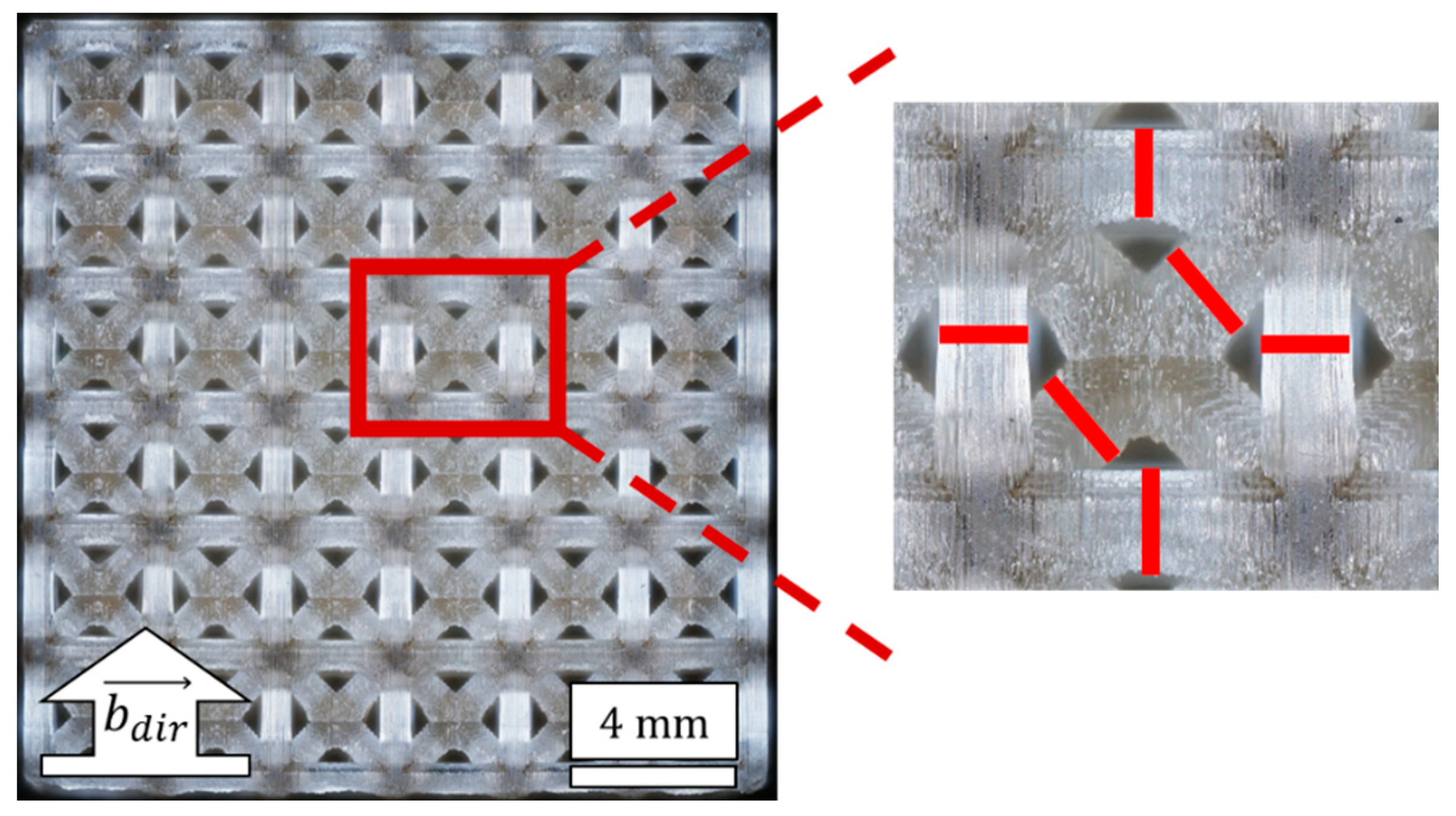 Polymers 14 05515 g003 Polymers 14 05515 g003