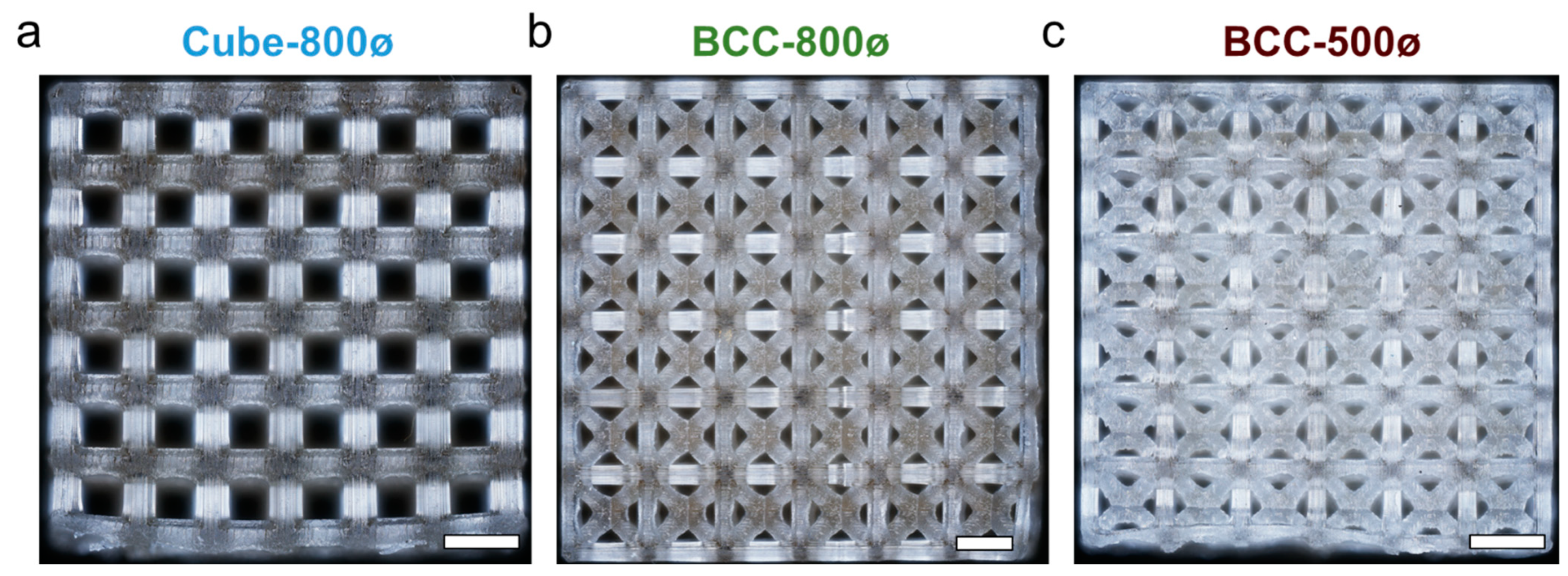 Polymers 14 05515 g008 Polymers 14 05515 g008